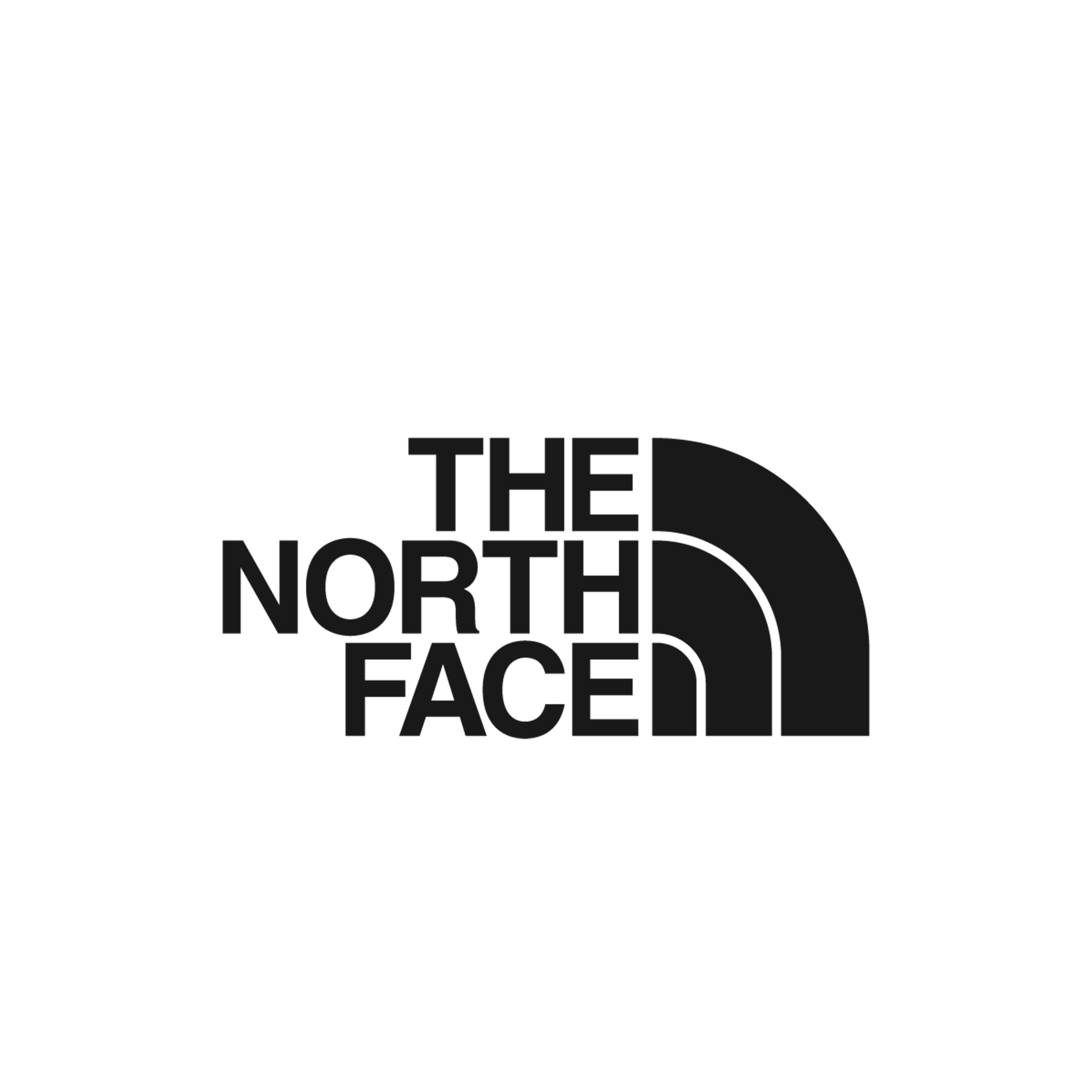 north face vector.png