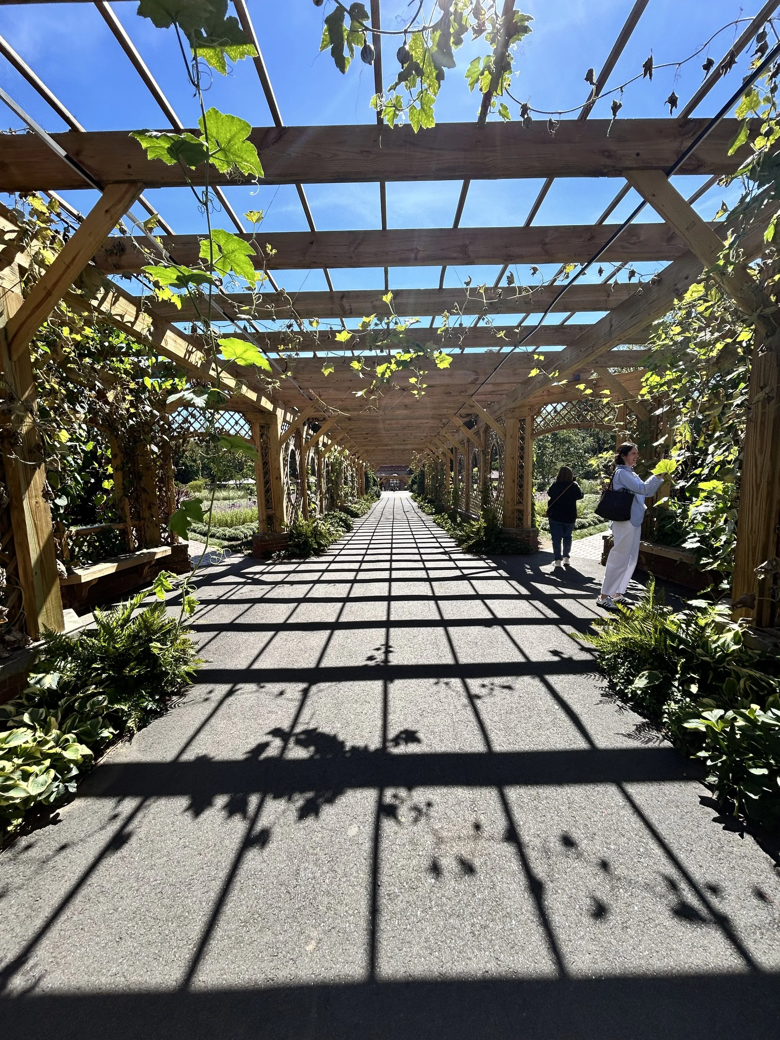 Exploring the Gardens at Biltmore