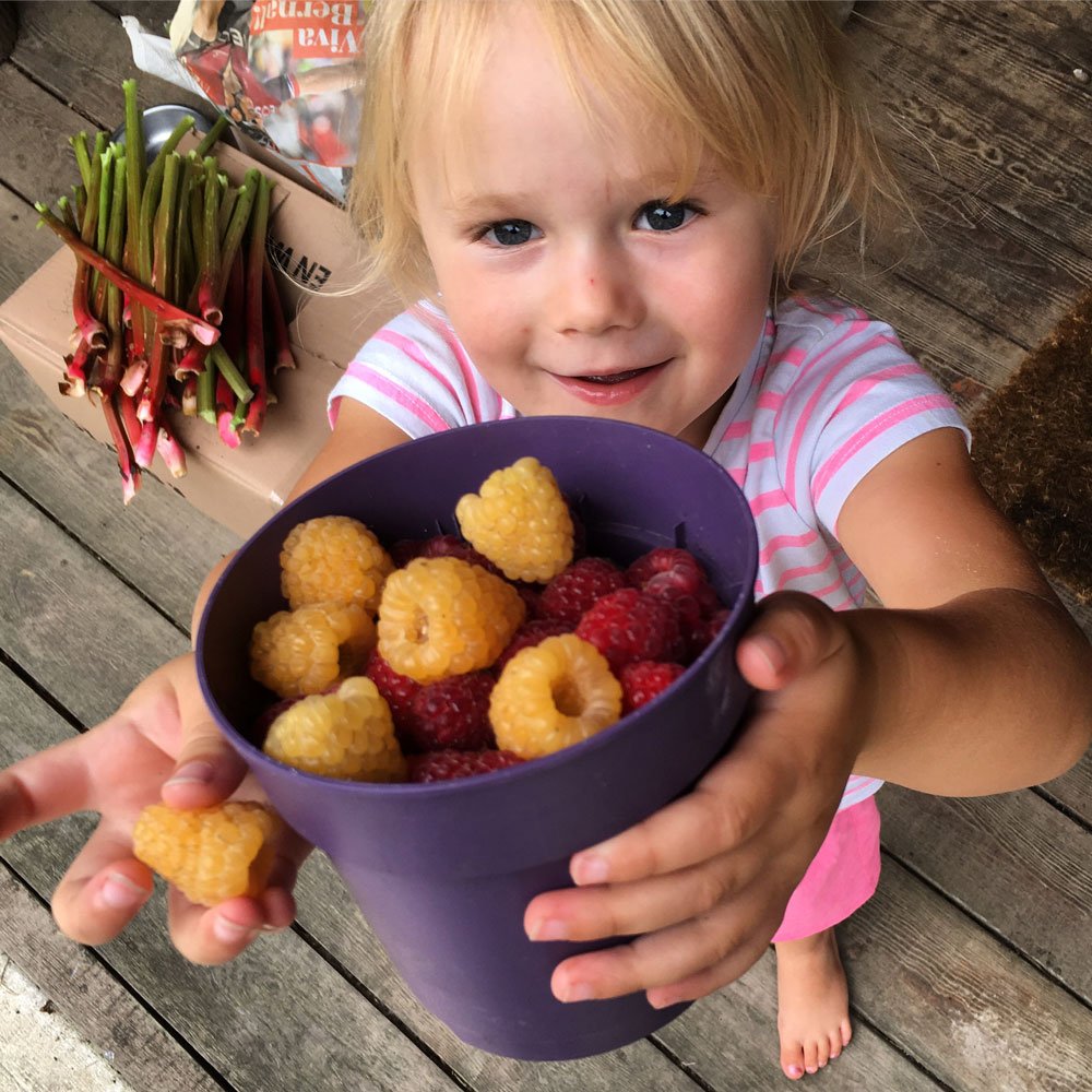 Savanah_raspberries.jpg