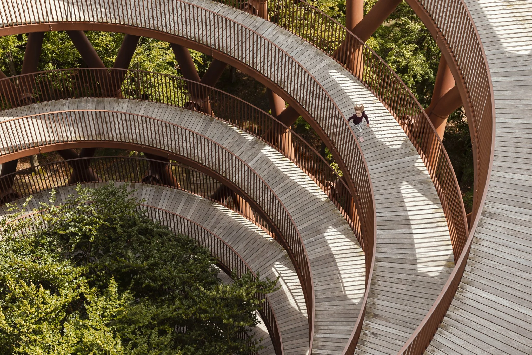 The Forest Tower / EFFEKT