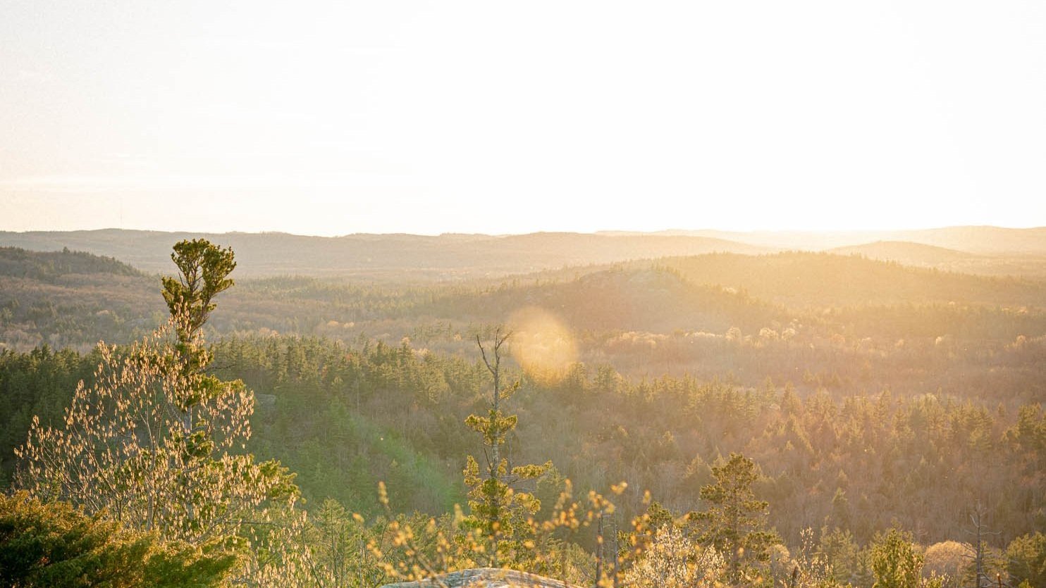 yoga in marquette
