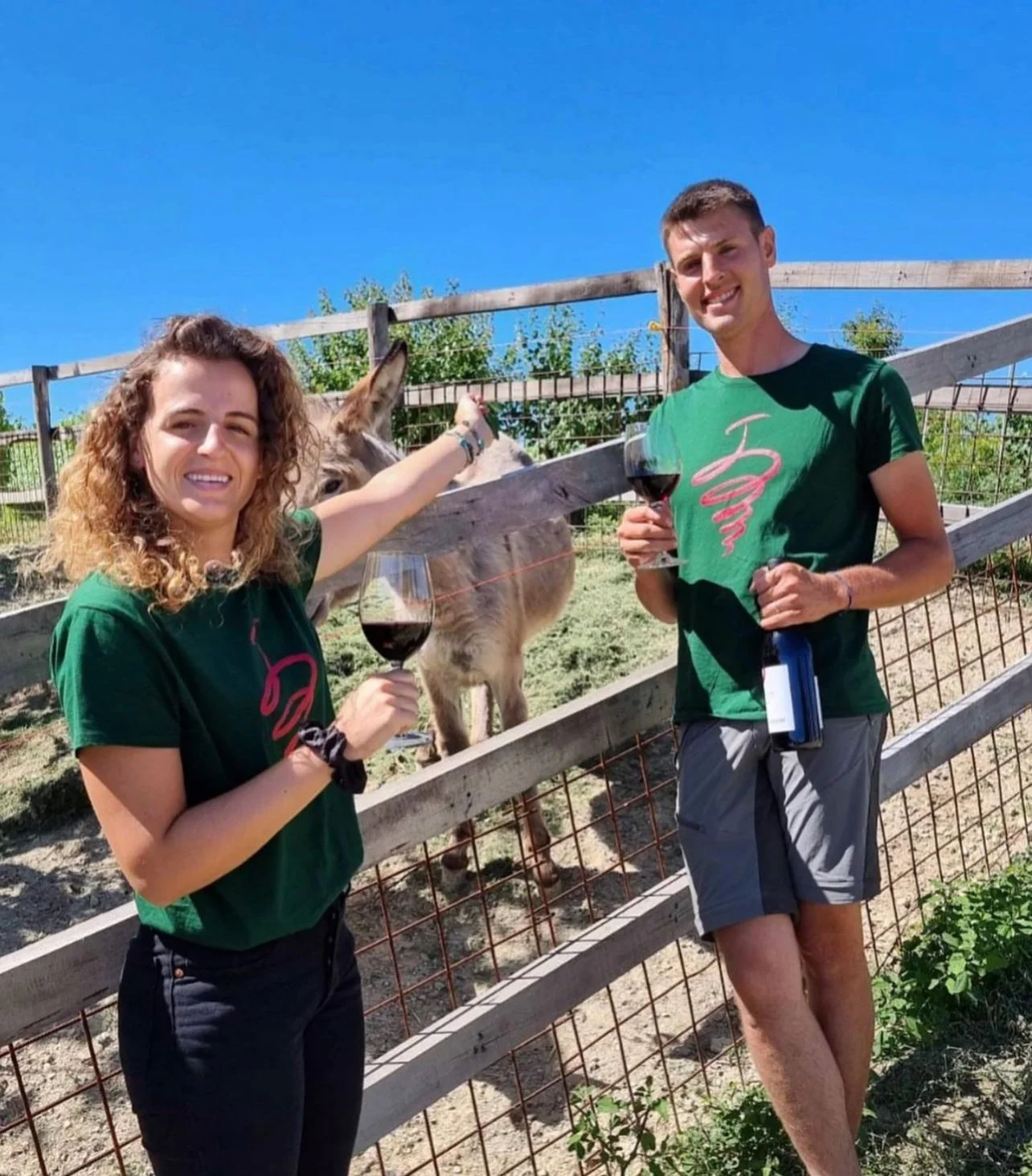 Two winemakers smiling and holding glasses of red wine next to a donkey behind a wooden fence on a sunny day.