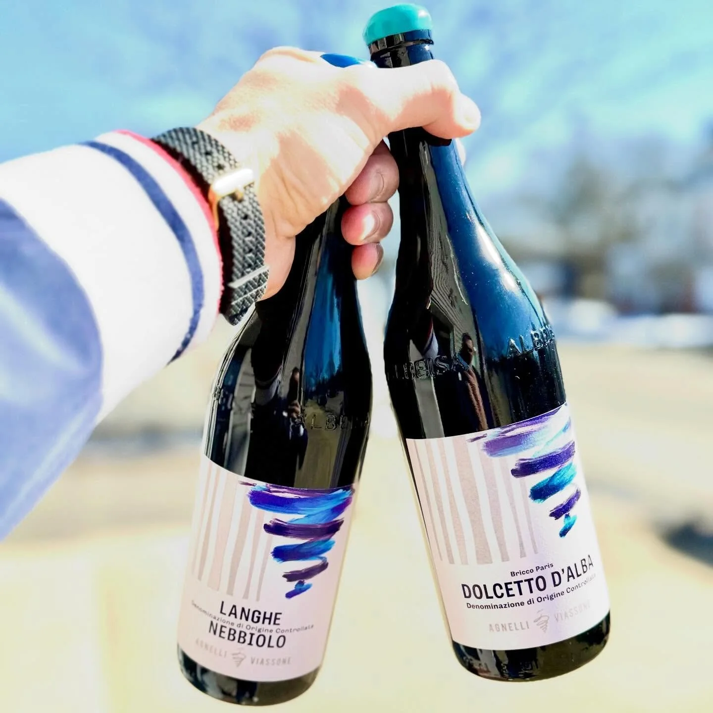 Colors of Spring! 
Agnelli Viassone- Alessia and Daniele&rsquo;s wines shine bright! From the hills of Santa Rosalia in Piemonte, the newest vintages of the single vineyard old vine selection of Dolcetto and Nebbiolo have landed! #dolcetto #nebbiolo