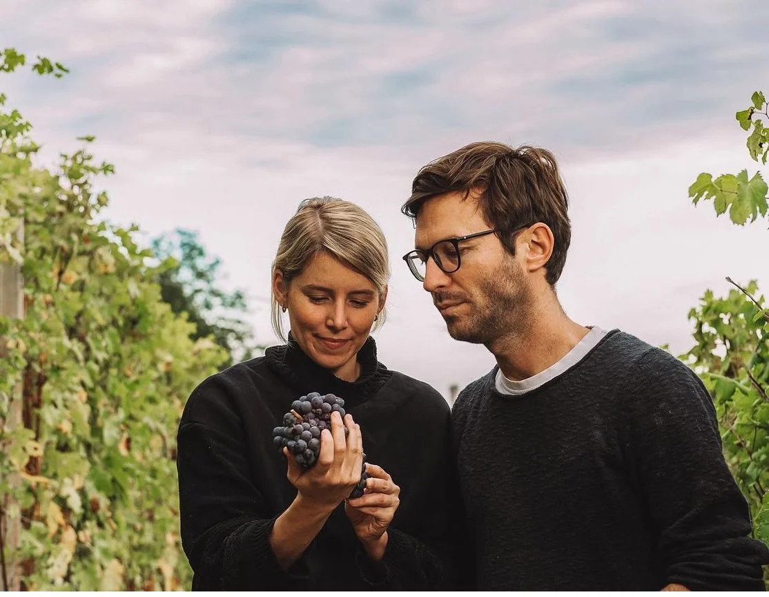 Winemakers inspecting a bunch of grapes in a vineyard.