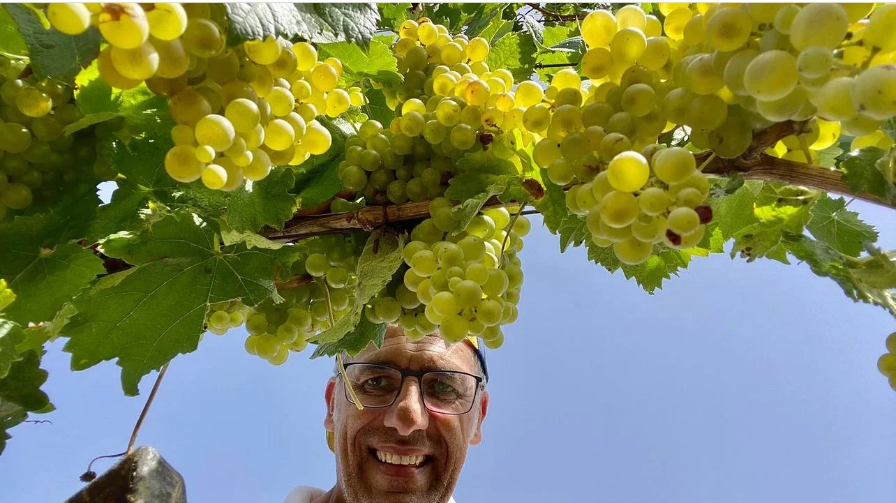 A winemaker taking a selfie underneath a bunch of green grapes hanging from a vine, with a clear blue sky in the background.