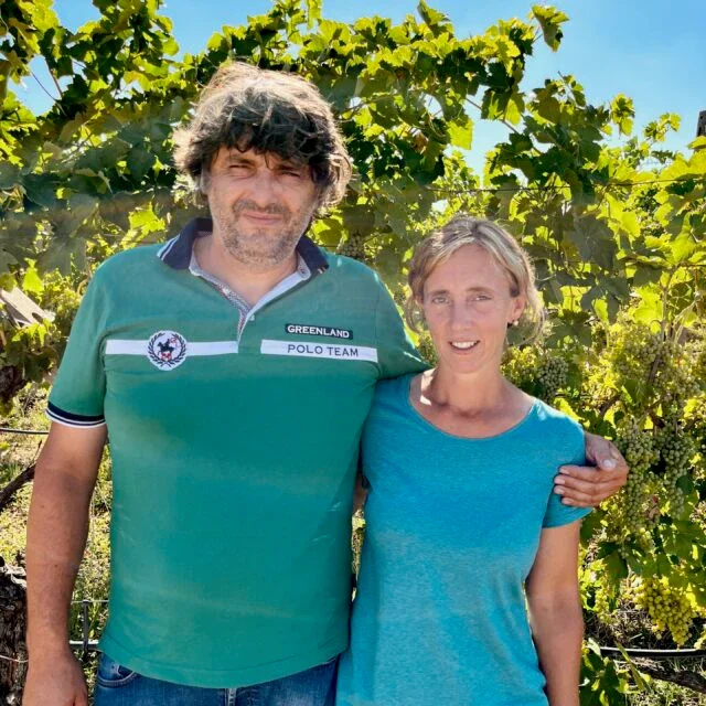 Winemakers standing outdoors in a vineyard with green grape vines behind them, smiling at the camera.