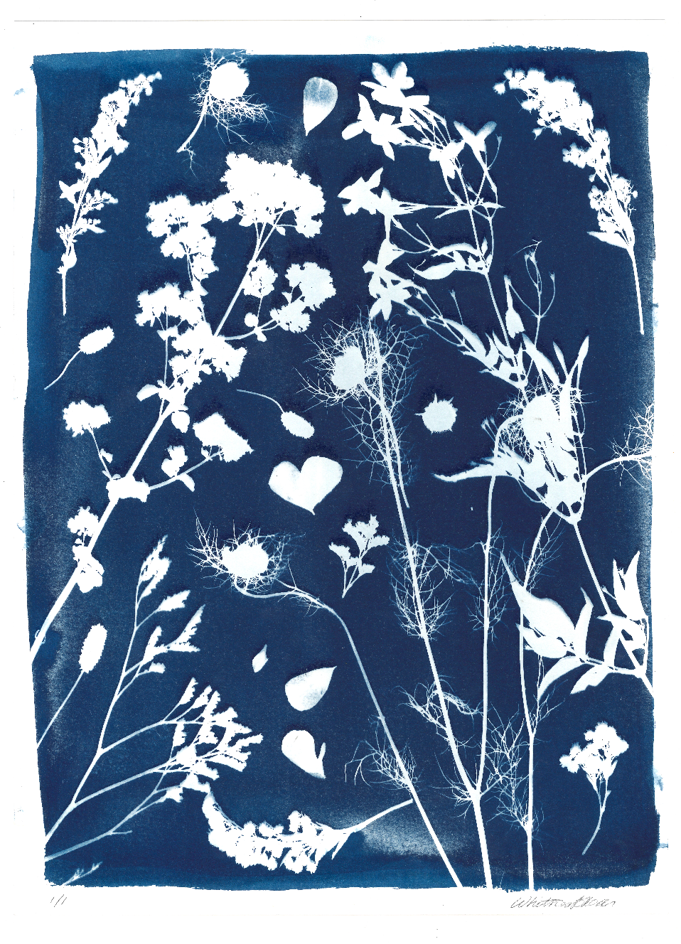 Custom Bouquet Fine Art Cyanotype