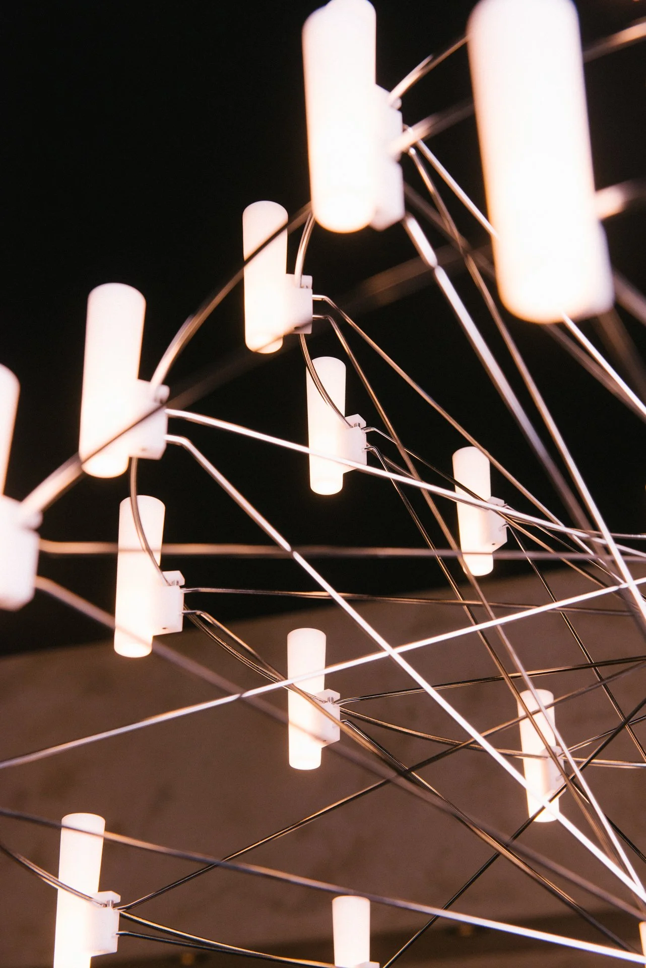 Jamie Pryde Ocean Park-8.jpg