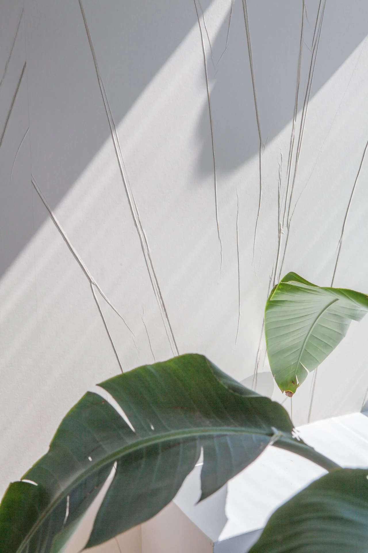 Jamie Pryde Hycroft-17.jpg