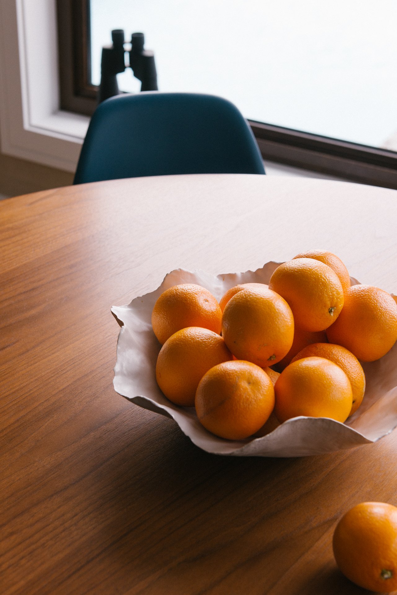 Jamie Pryde Ocean Park-14.jpg