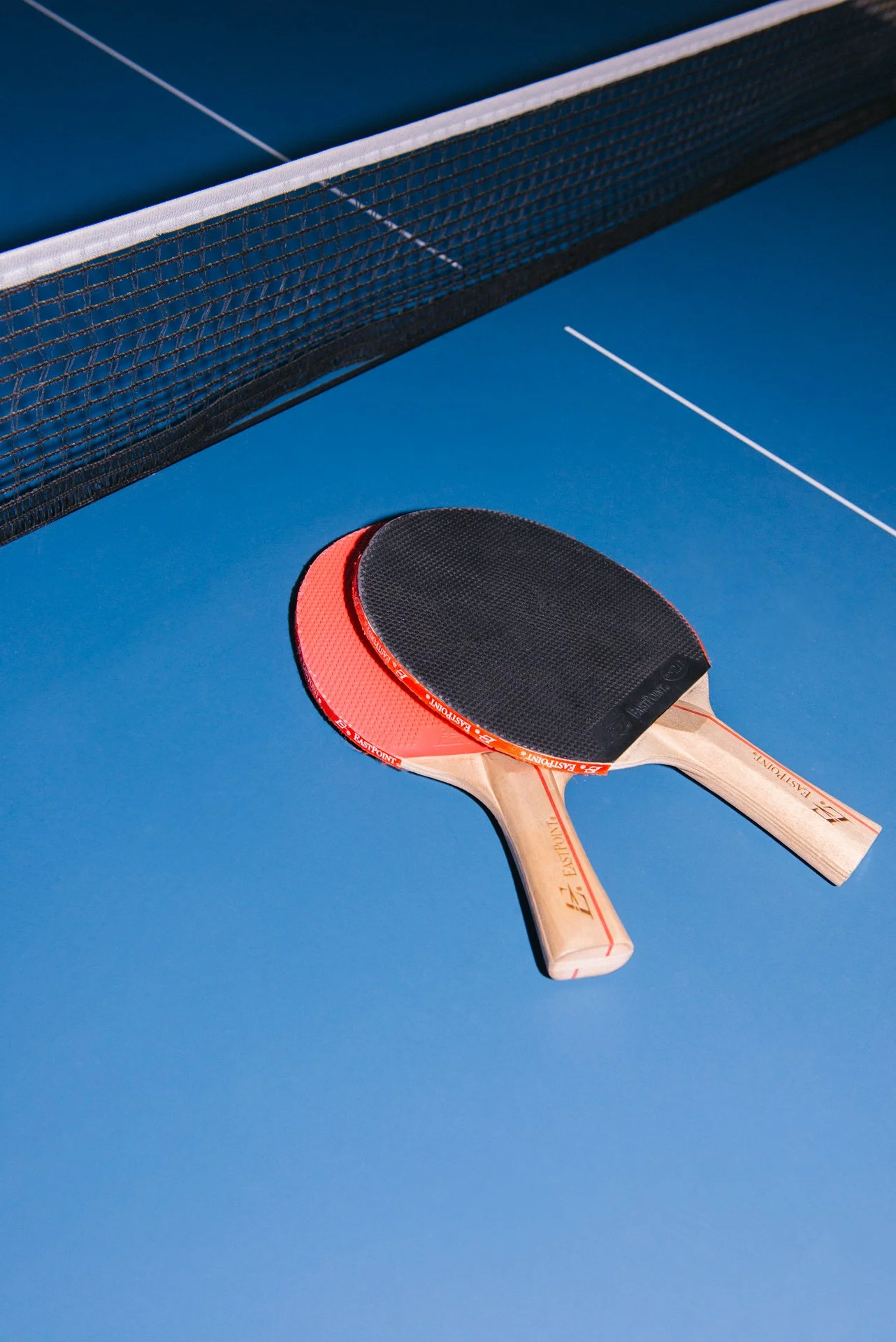 Jamie Pryde Ocean Park-18.jpg