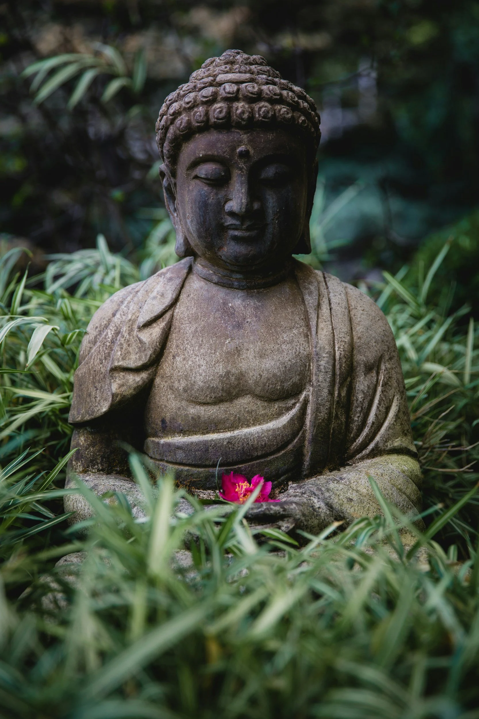 Sunday Sangha 