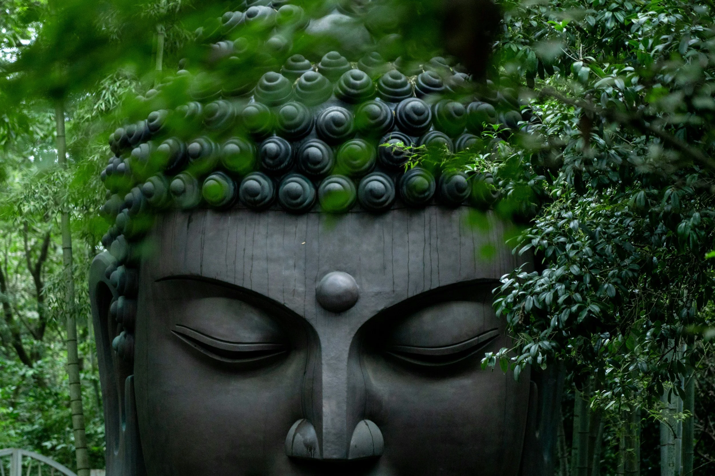 Sunday Sangha