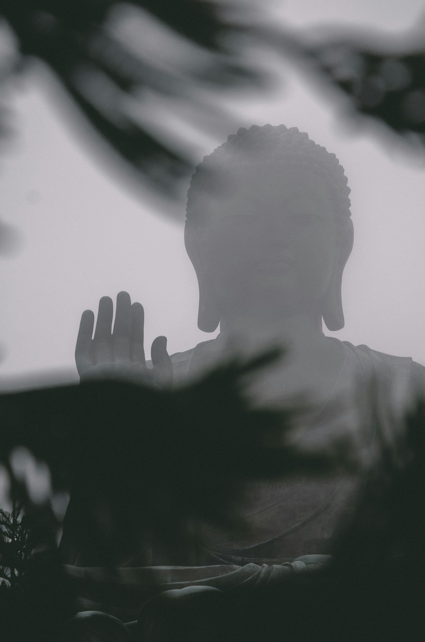 Sunday Sangha 