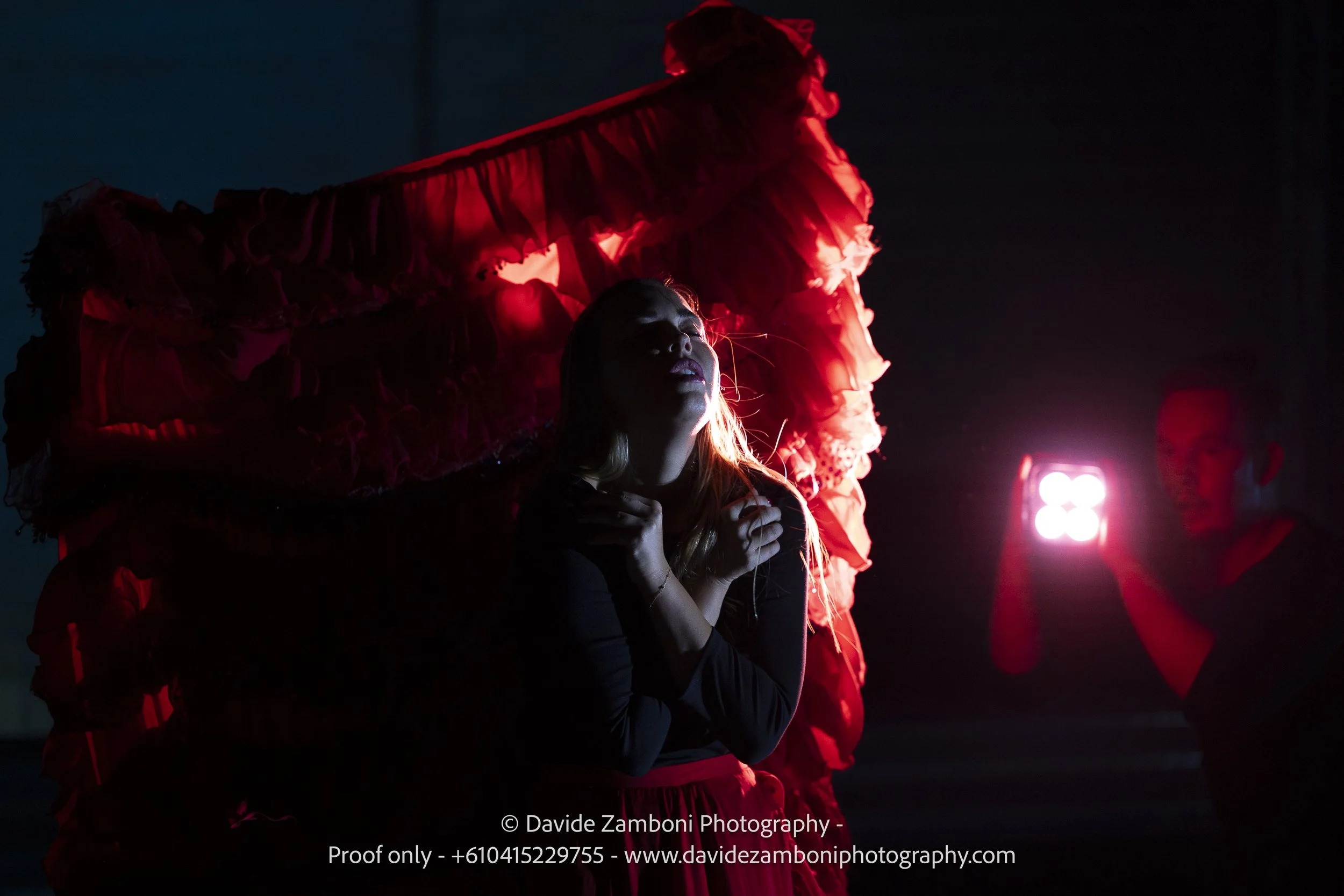 waapa251117echolocationblue0176.jpg