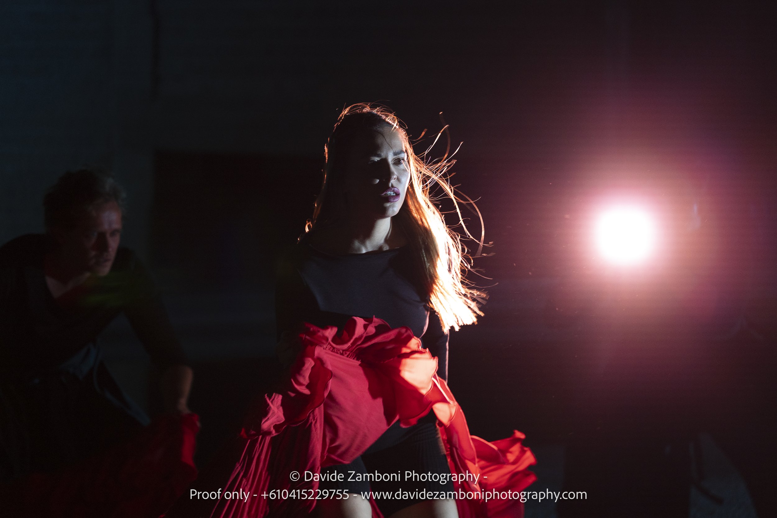 waapa251117echolocationblue0171.jpg