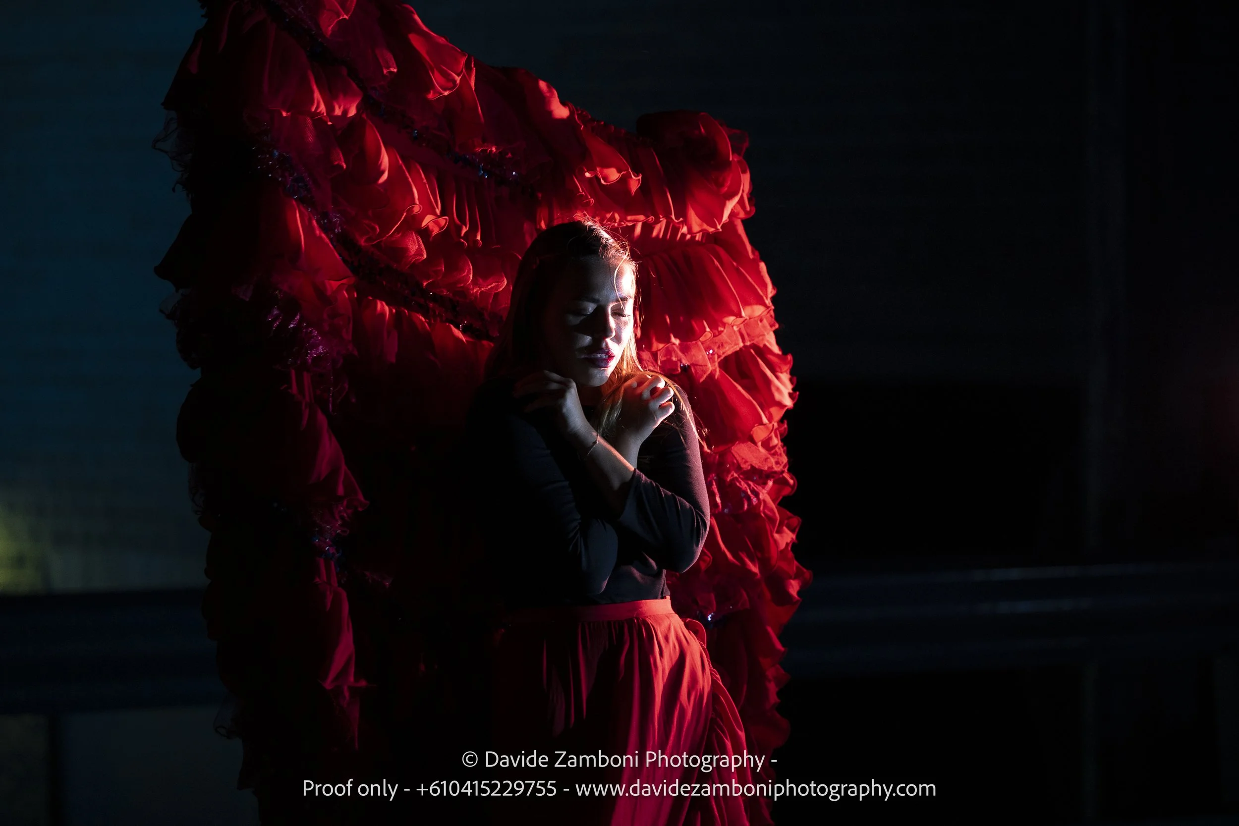 waapa251117echolocationblue0177 (1).jpg