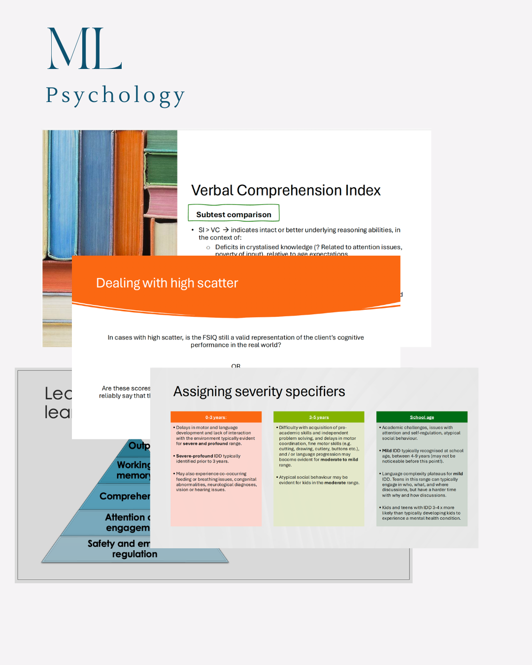 L and C slide image 1.png