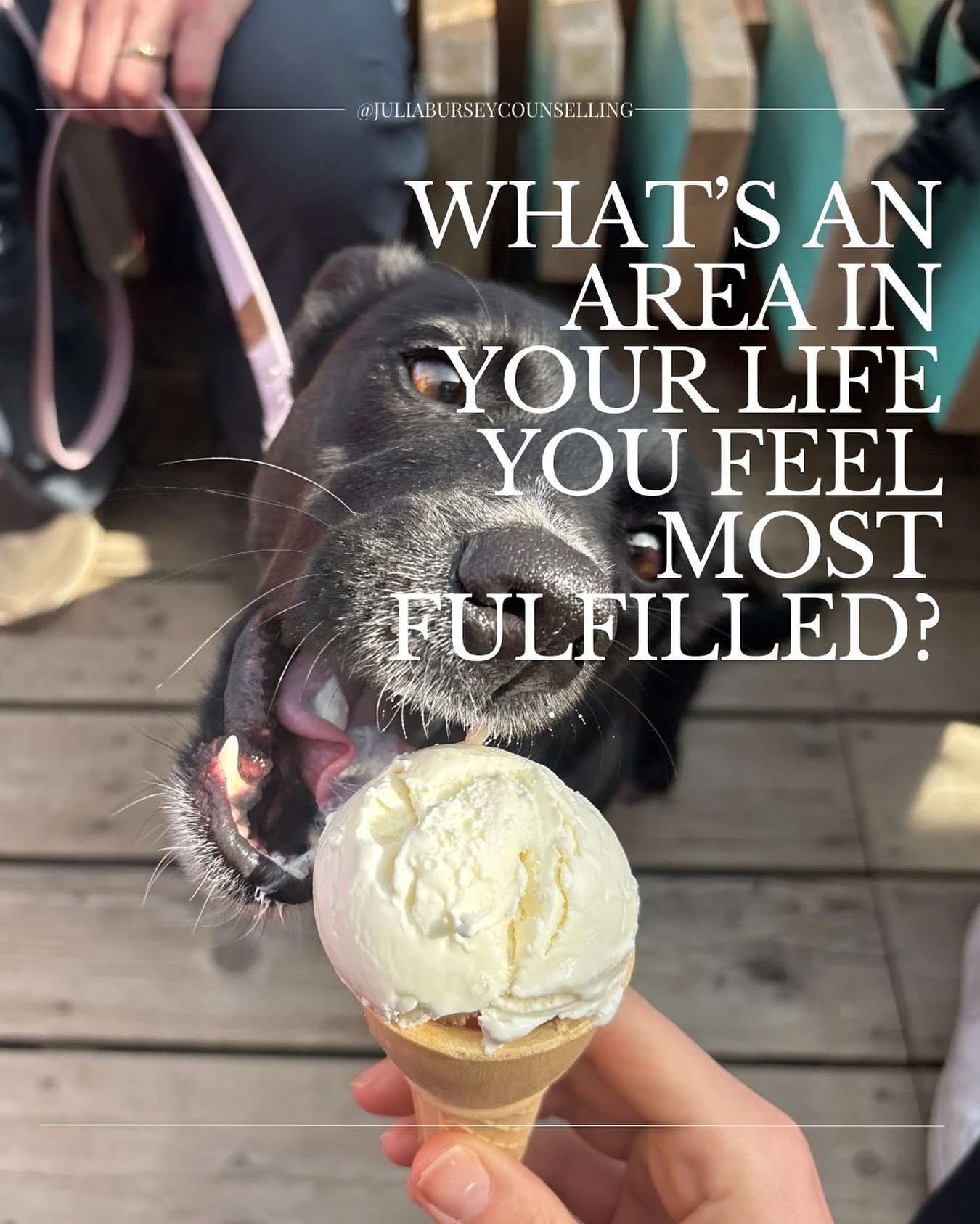 what&rsquo;s an area you feel most fulfilled in your life?

work, school, career, friendships, parenting, family, training, sports? something else?

#anxiety #anxietymanagement #trauma #selfcompassion #healing #wellness #support #wellness #counsellin