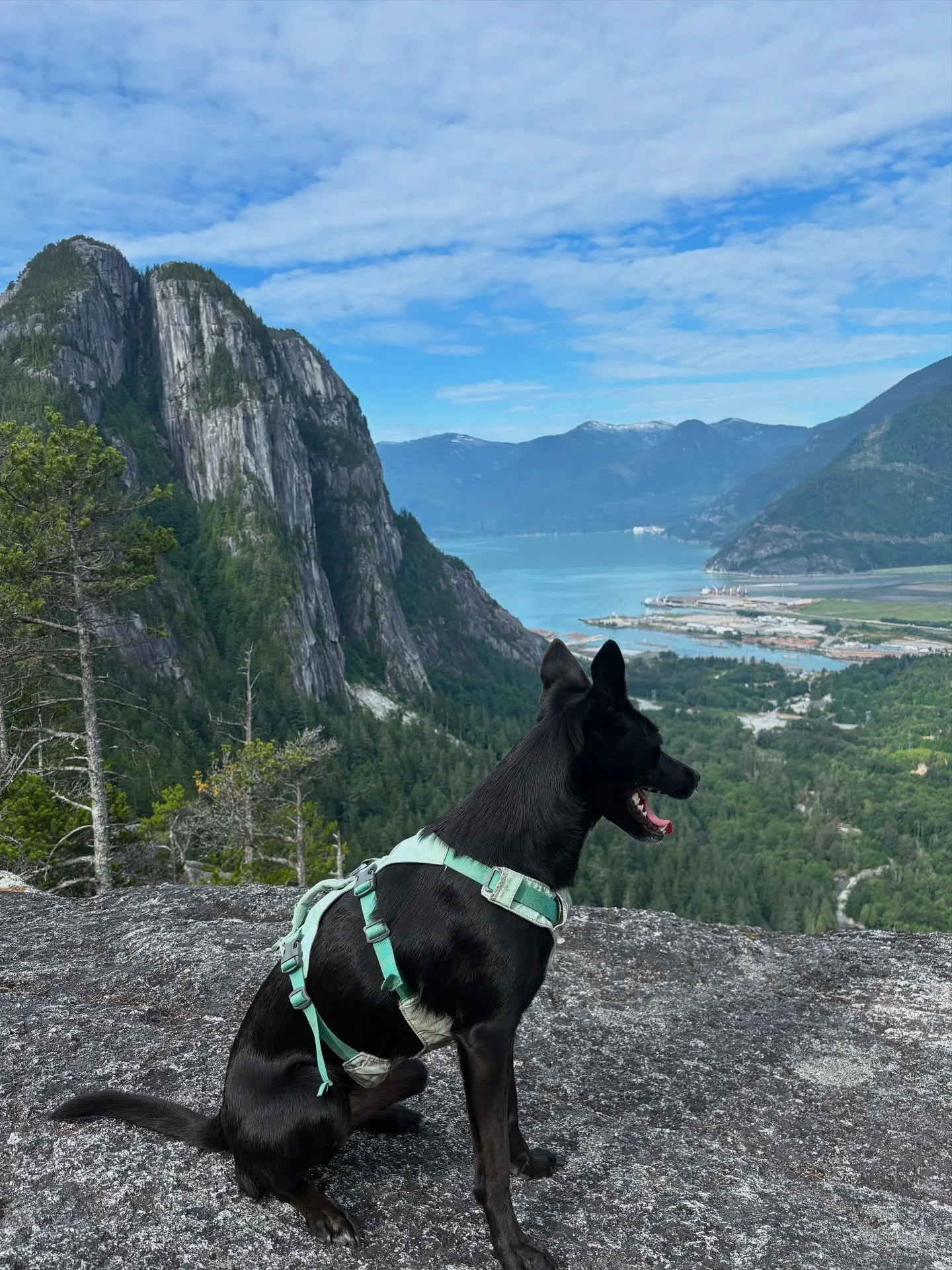 some july moments that were brilliant (even though it&rsquo;s almost September lol) 🥹

#reels #trendingaudio #trending #viral #therapy #therapyworks #therapistinbc #therapyincanada #canada #bc #beautifulbc #running #outdoortherapy #therapist #anxiet