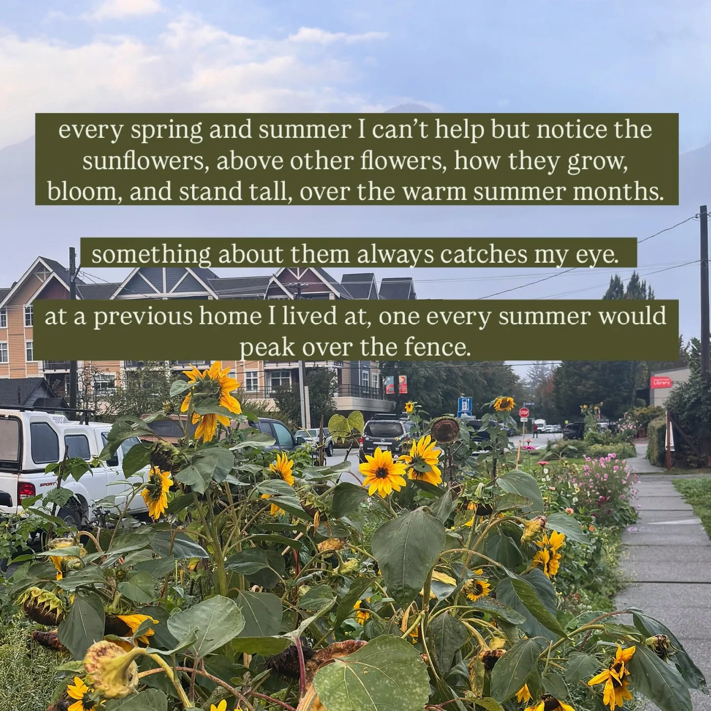 a reflection I often have when I walk by these sunflowers on my morning walk❤️

#reels #trendingaudio #trending #viral #therapy #therapyworks #therapistinbc #therapyincanada #canada #bc #beautifulbc #running #outdoortherapy #therapist #anxiety #couns