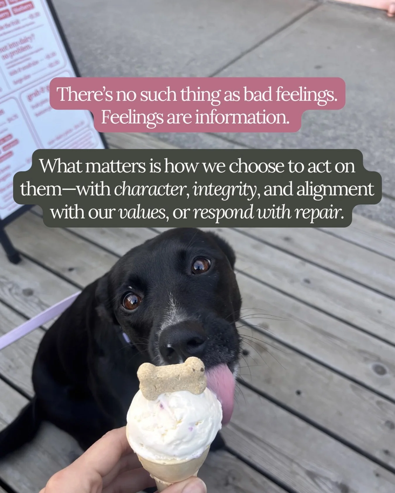 a wee monday reminder &mdash; no bad feelings&hellip; only spicy reactions that don&rsquo;t feel great!🤠

#therapy #dogs #mentalhealth #squamish #therapist