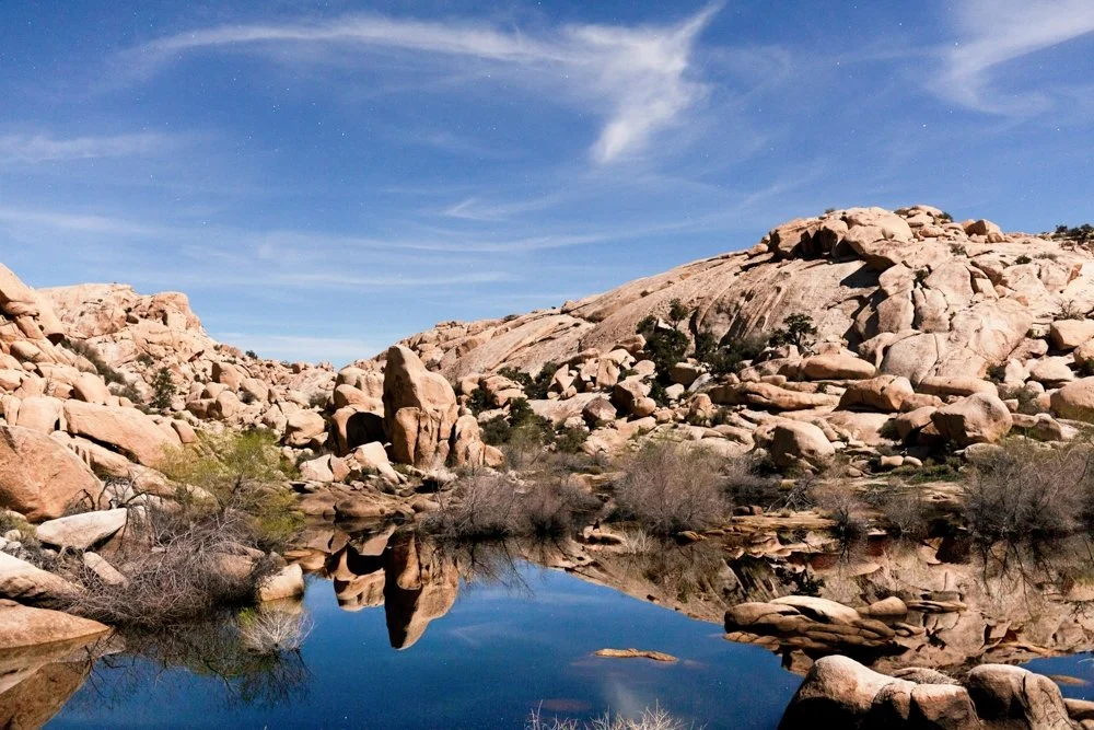 Title: 3 Family-Friendly Hikes in Joshua Tree You Can’t Miss