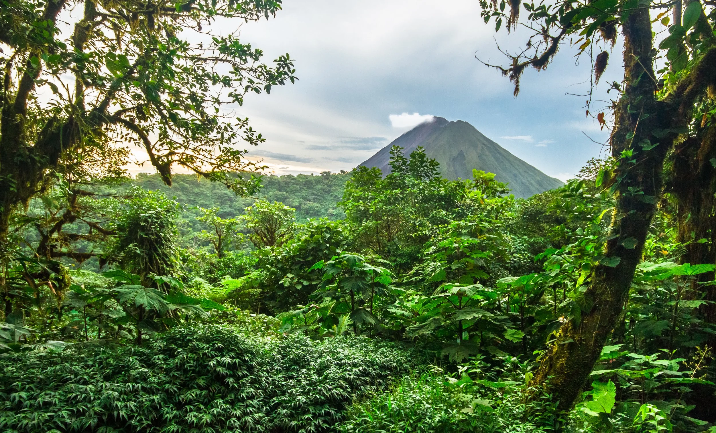 Top 5 Places to Visit in Costa Rica: The Honest Guide Nobody Tells You