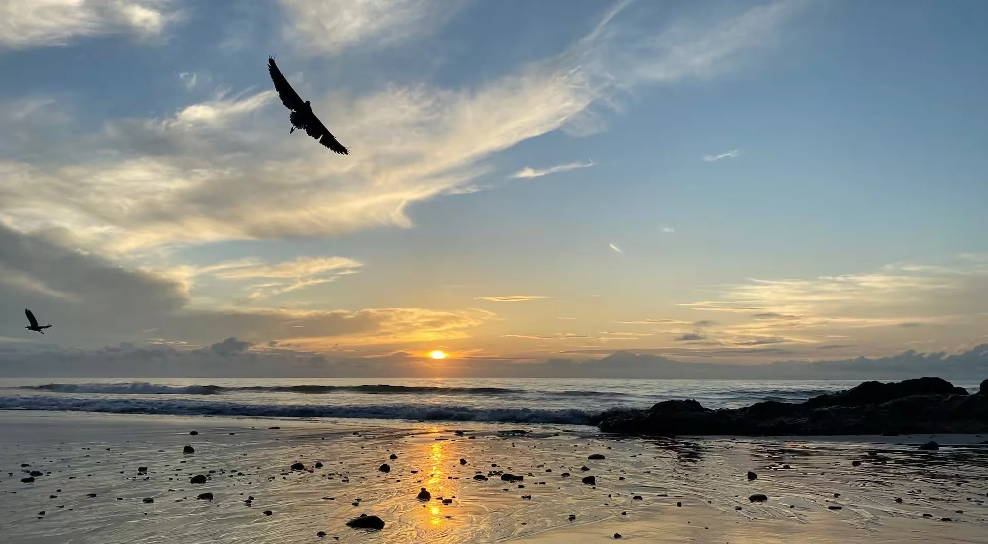 Sunset over the ocean at the beach with birds soaring in the sky and rocks scattered on the wet sand.