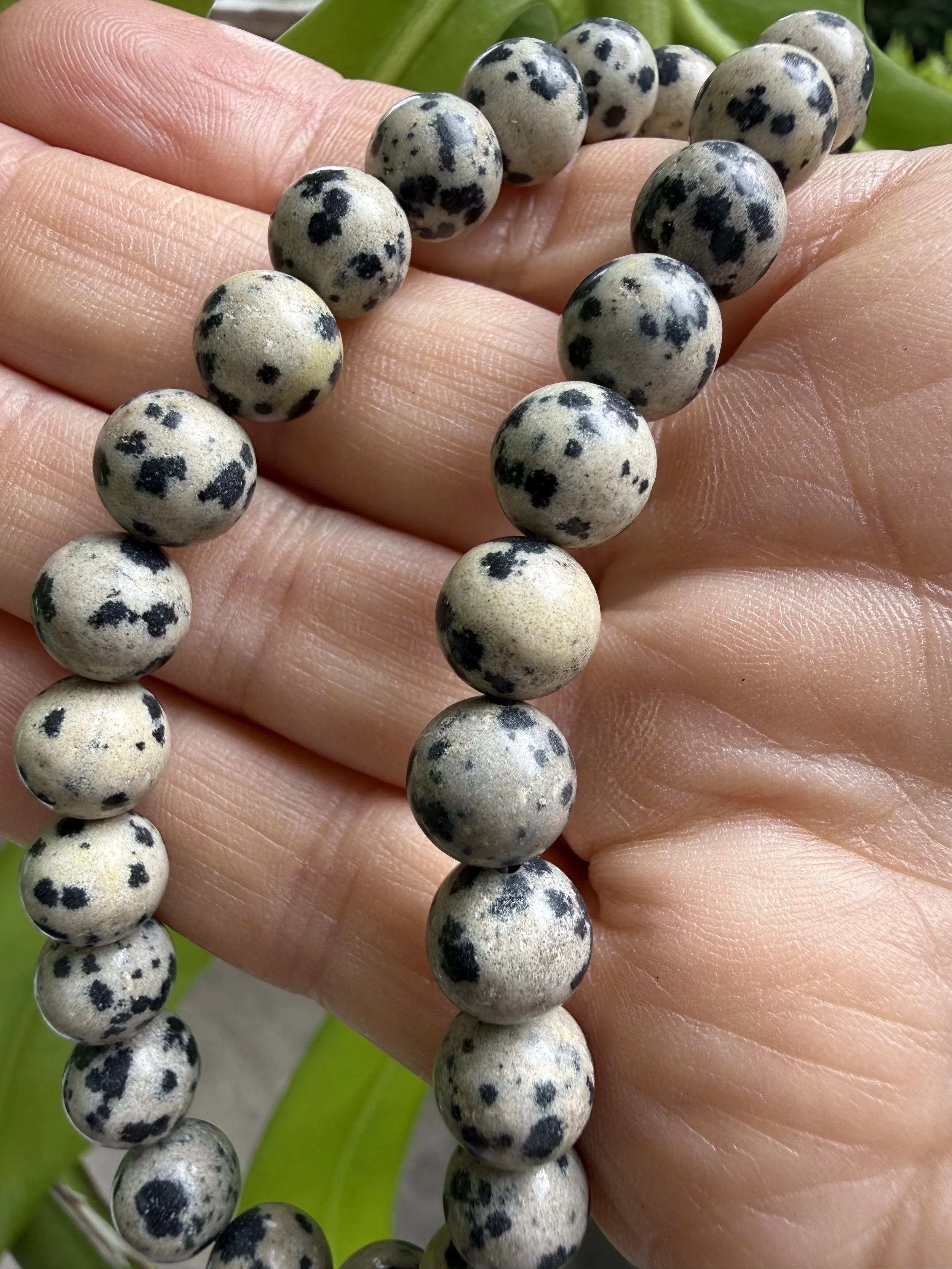 Autumn Toned 8mm Bead Bracelet - Dalmatian Jasper