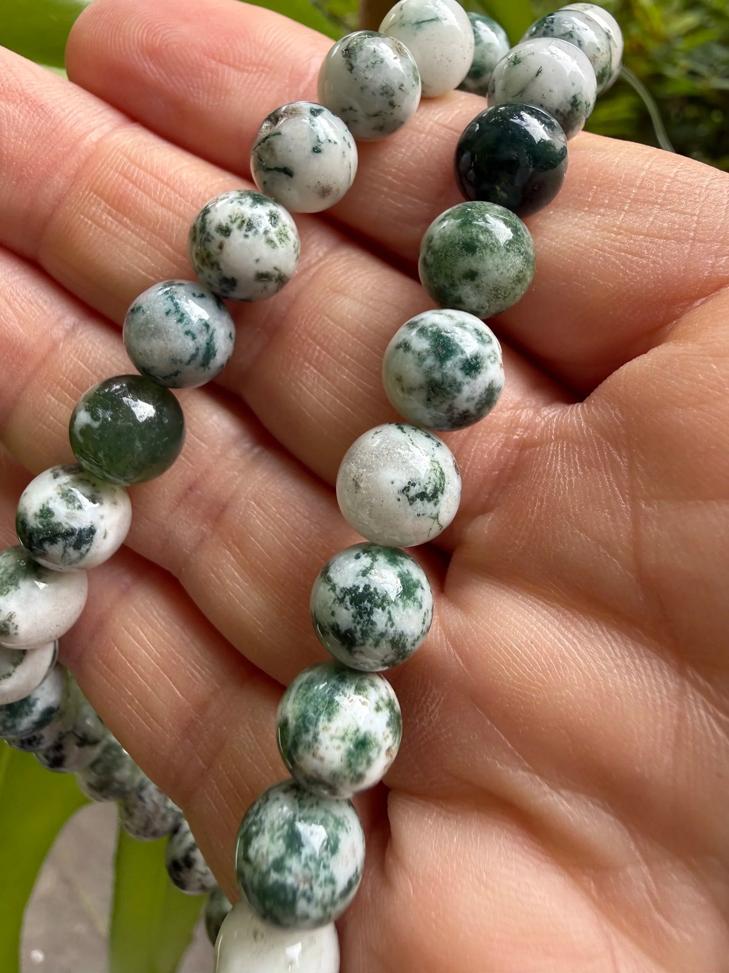 Autumn Toned 8mm Bead Bracelet - Tree Agate