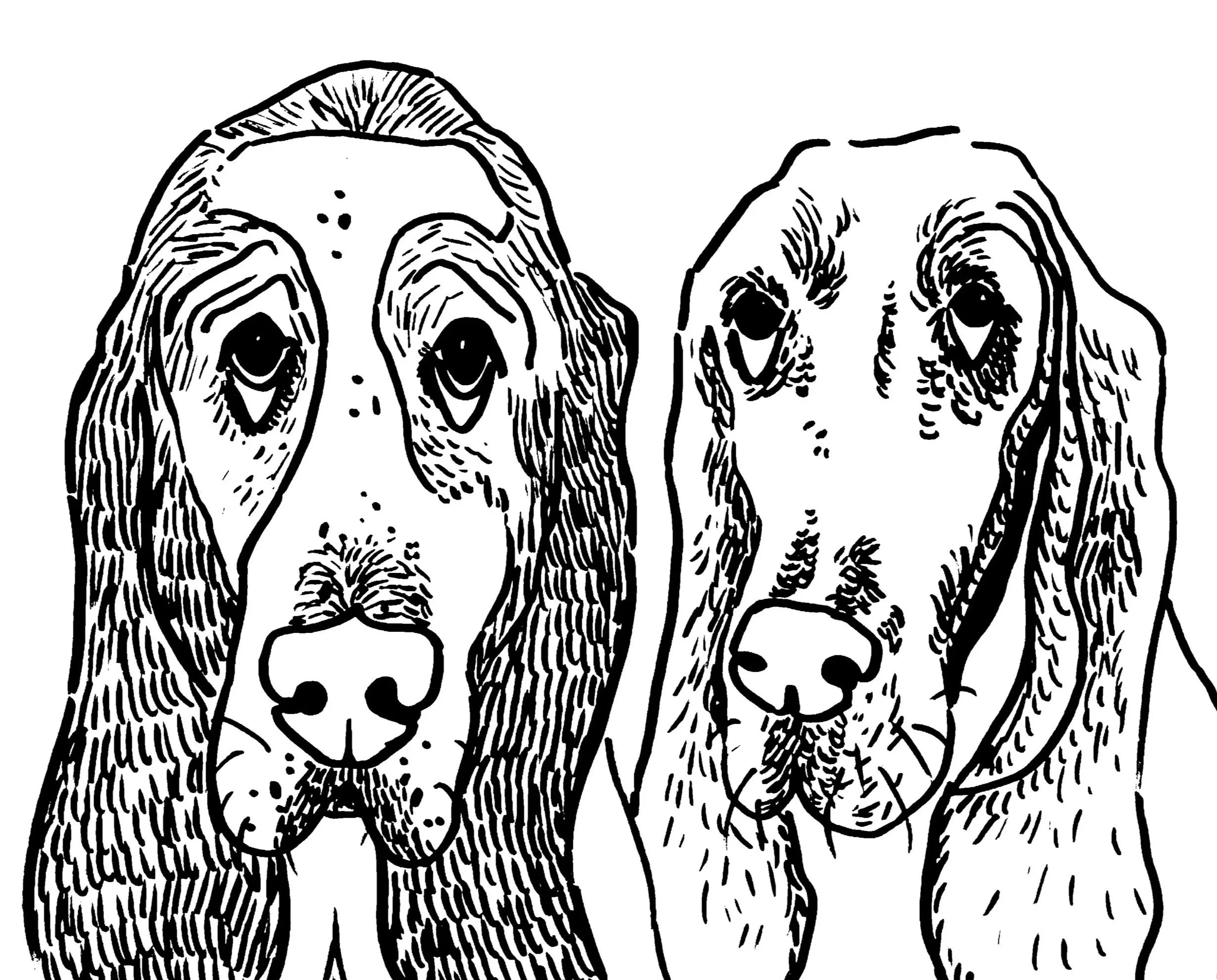 "Dog Portraits", 2026