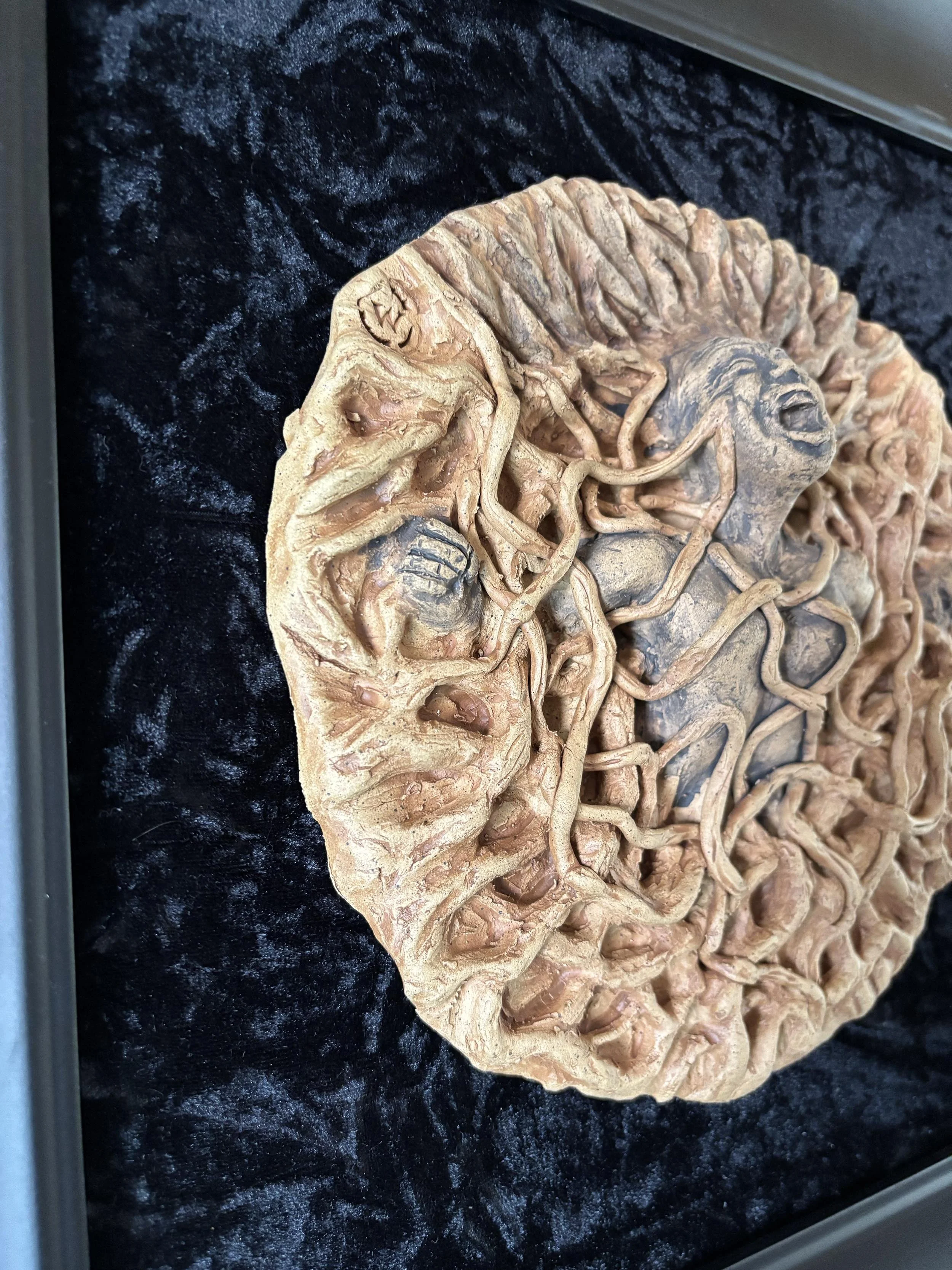 Splintered Bloom - Framed 16"16