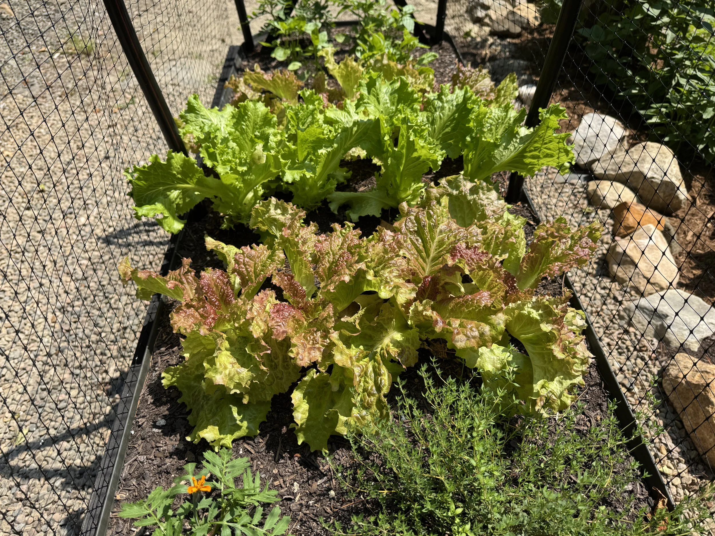 SteepHillStudio_2025Recap_July_0134 2.JPG