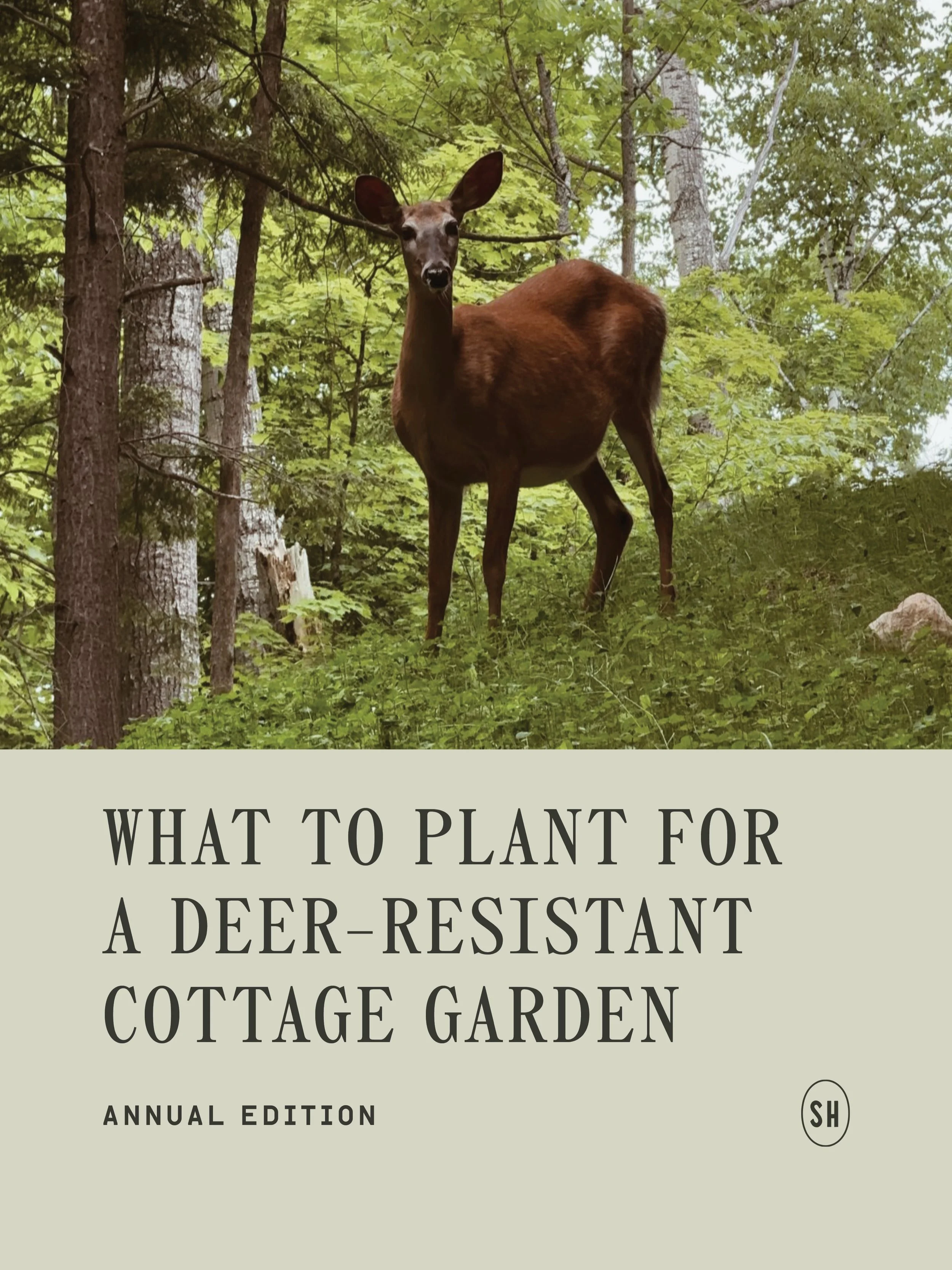 🌼🚫🦌 Planting a cottage garden but don&rsquo;t want the deer to destroy it? Then you&rsquo;ll want to save this post!

At Steep Hill cottage (zone 4b) the deer stroll through by the dozen and we&rsquo;ve learned what their favourites are (the hard 
