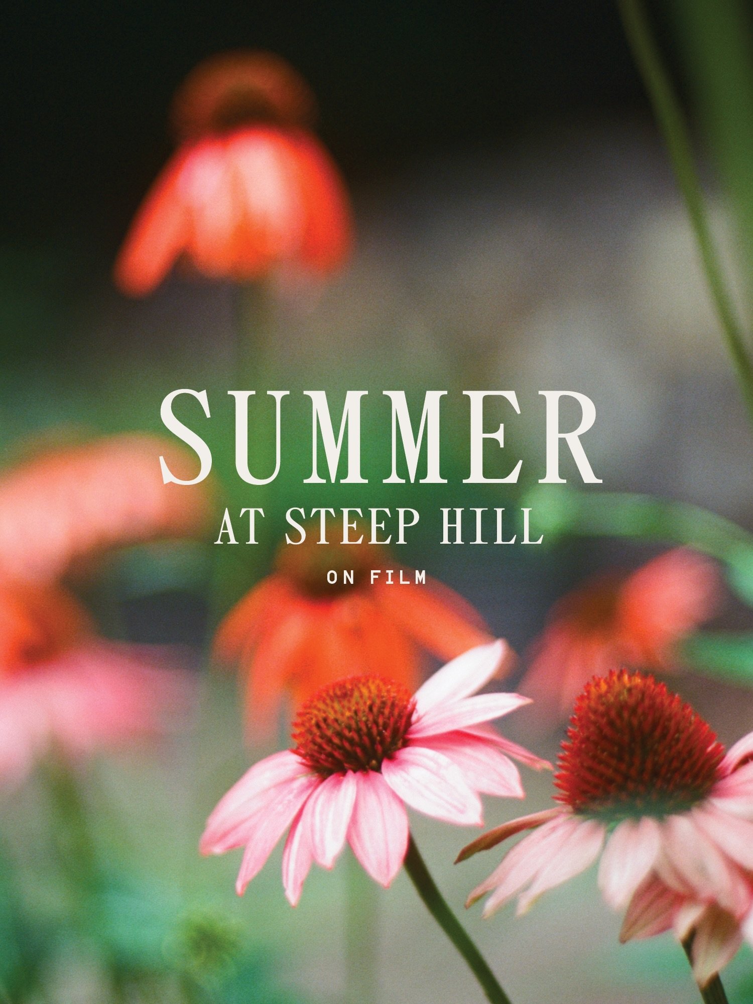 The last couple of summers haven&rsquo;t been the most relaxing here at Steep Hill. But the progress has been well worth the long days and weekends spent on this project. 

There is still so much work to be done but if all goes well, soon enough the 