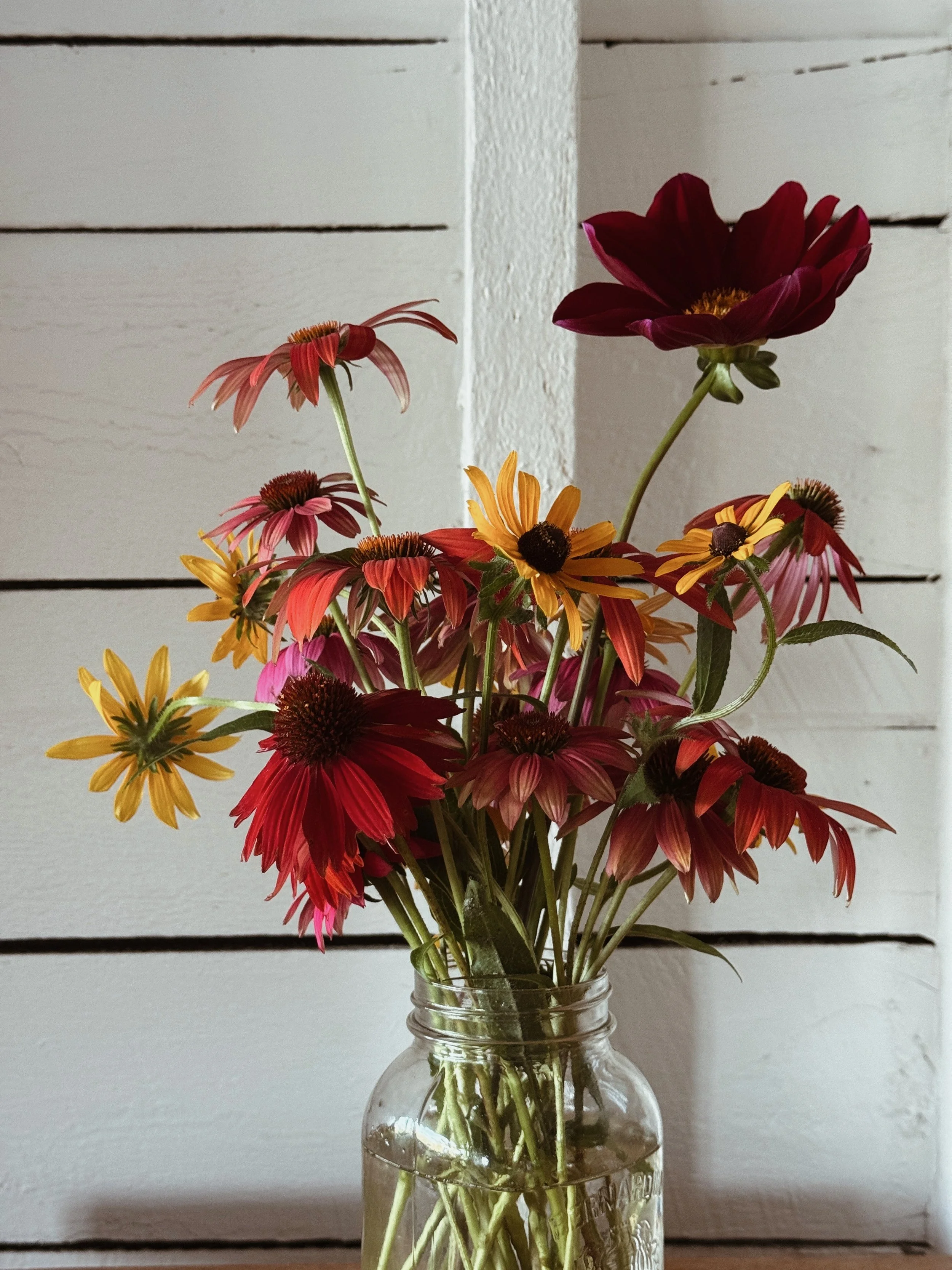 Steep_Hill_Studio_Cone_Flowers_Arrangement.jpeg