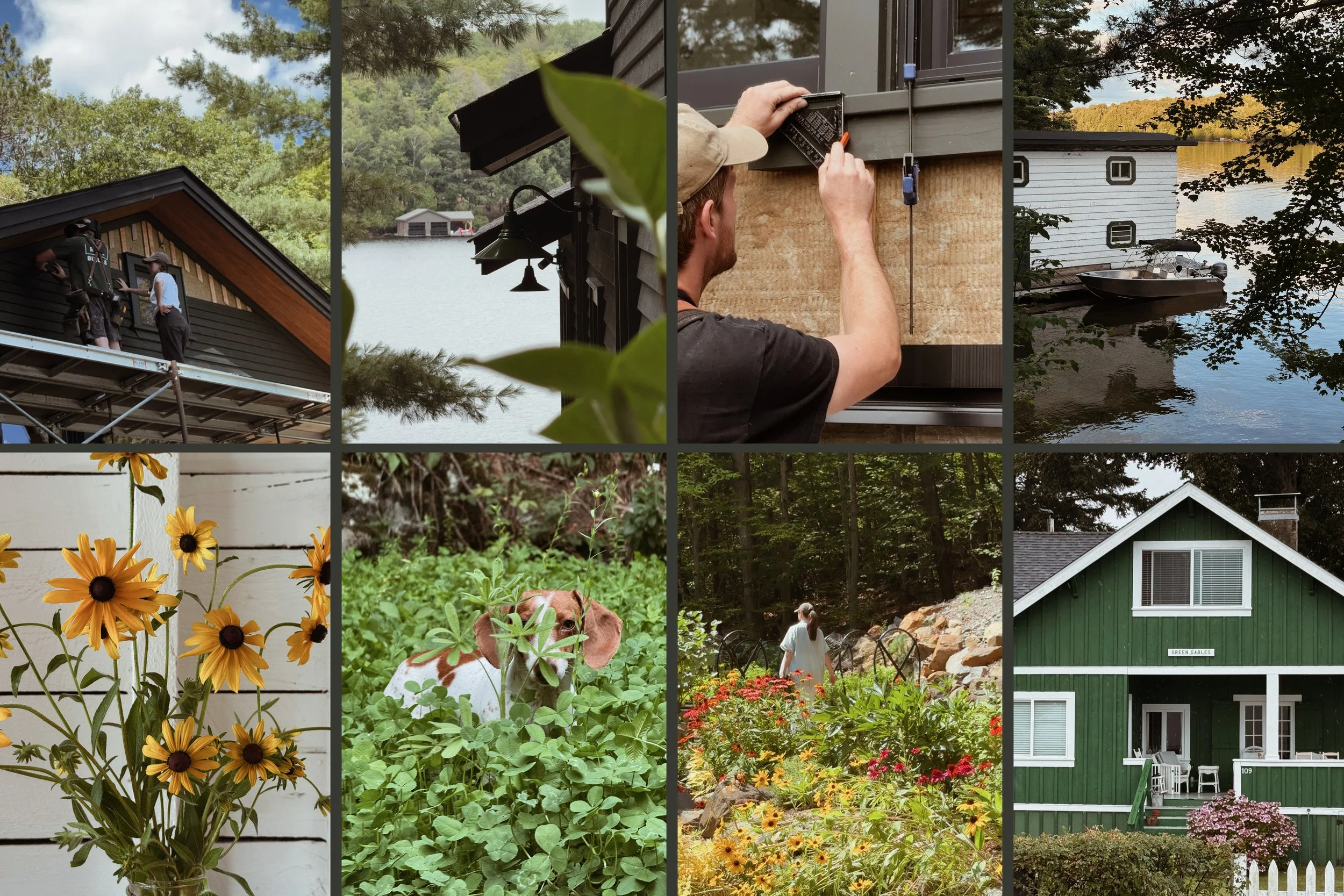 SUMMER AT STEEP HILL COTTAGE