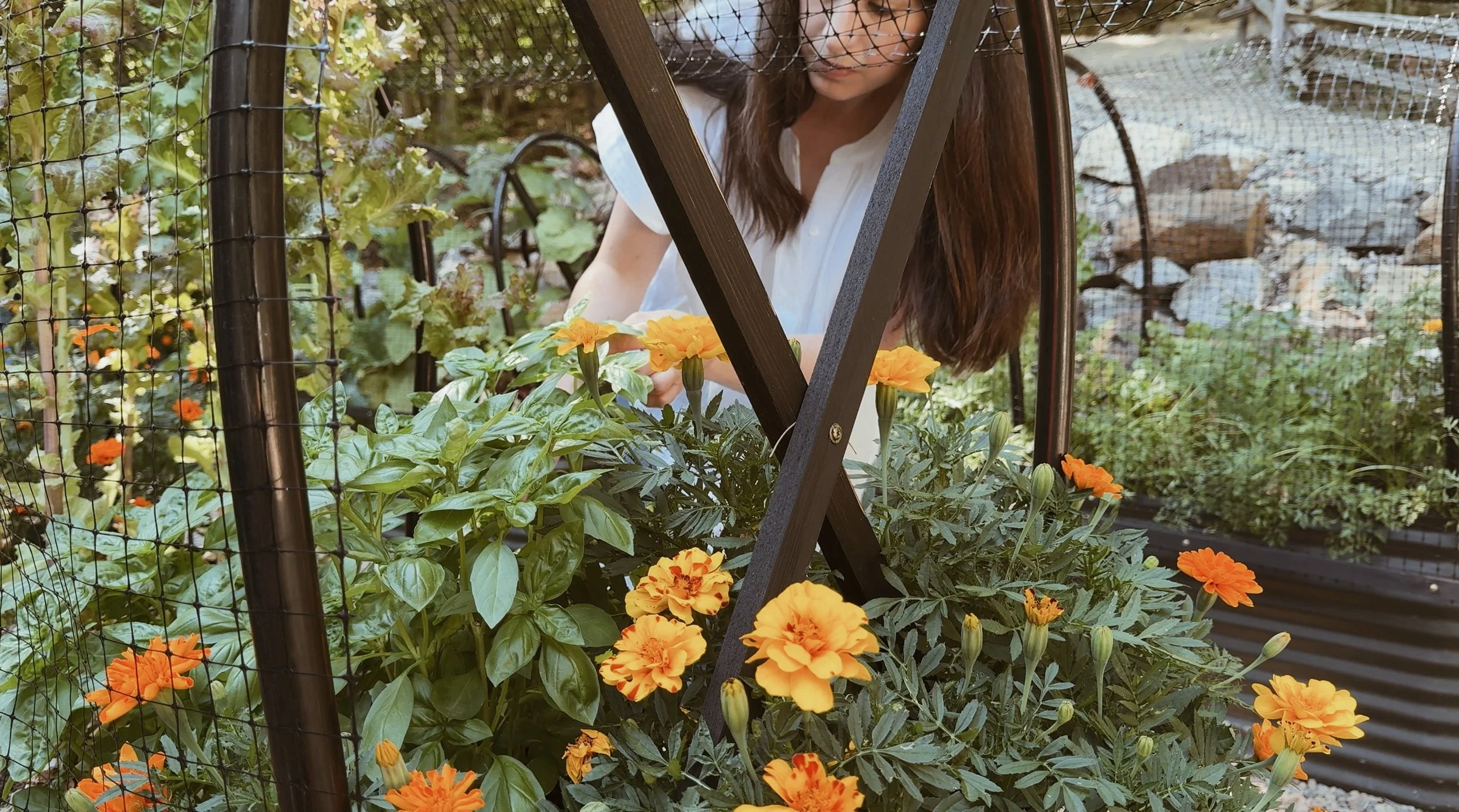 PESTO PERFECTO RECIPE