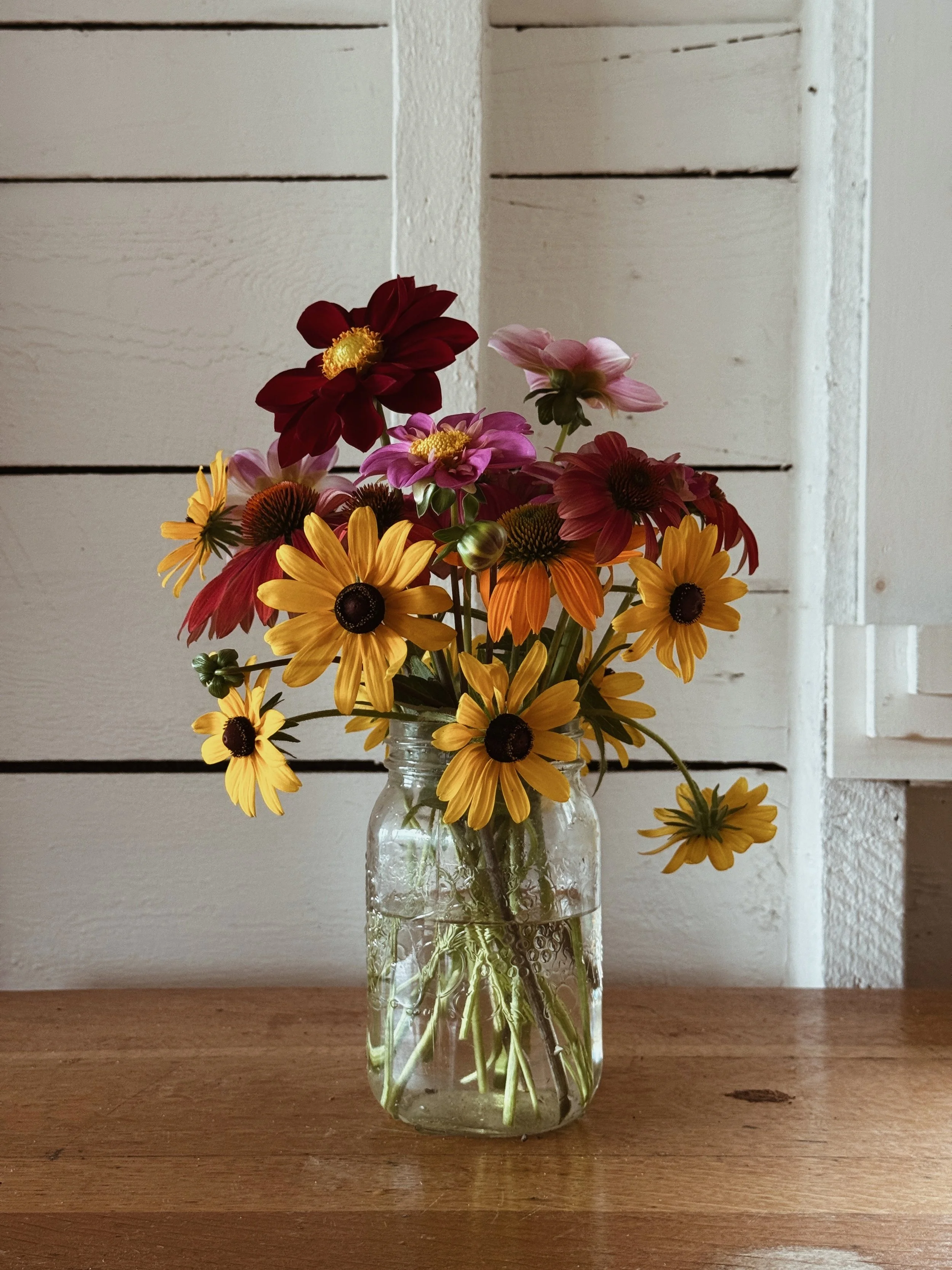 Steep_Hill_Studio_2026_Rudbeckia_Dahlia_Echinachea_Arrangement.jpeg