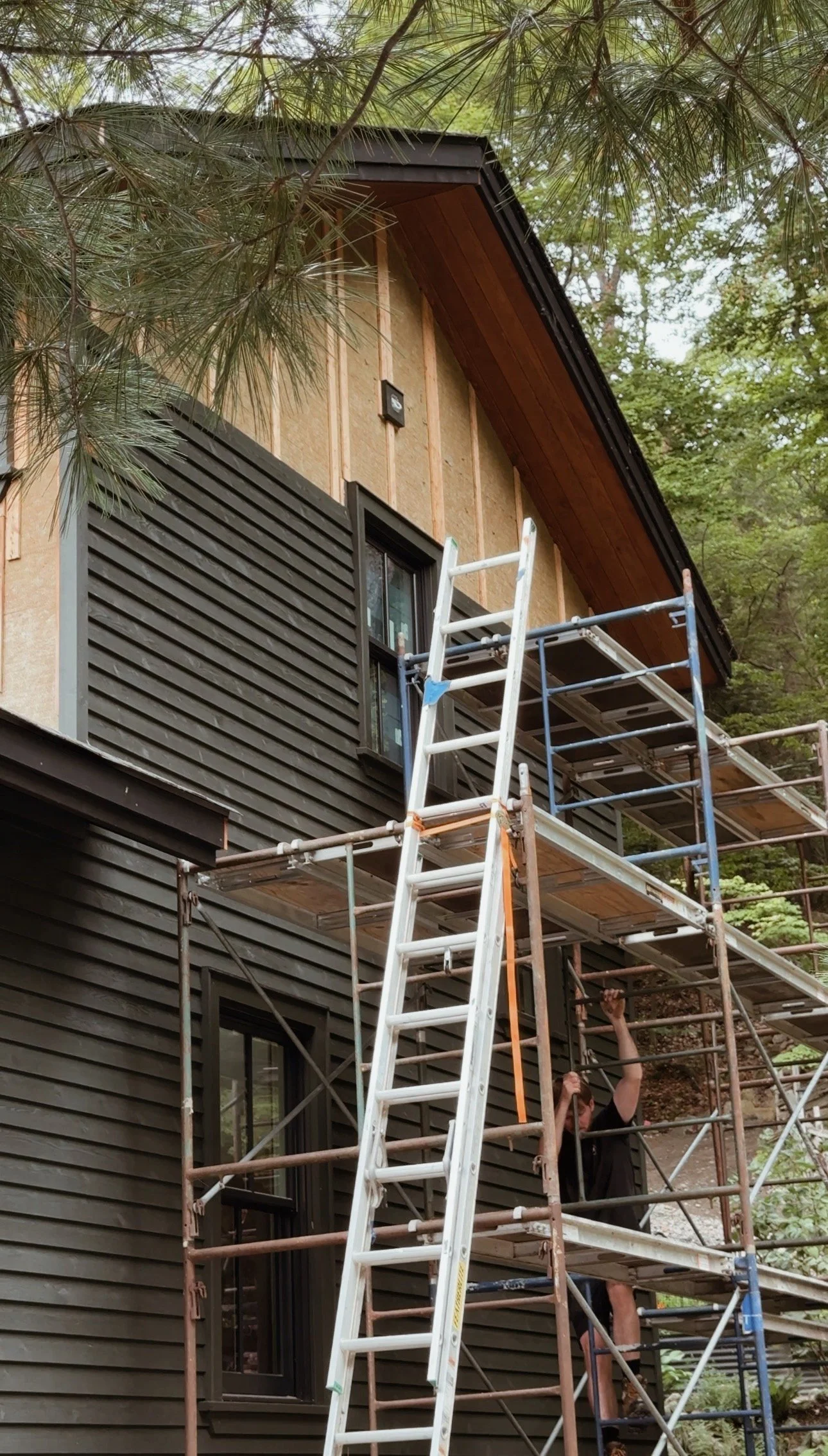 Steep_Hill_Studio_2026_Fir_Stock_4.jpeg