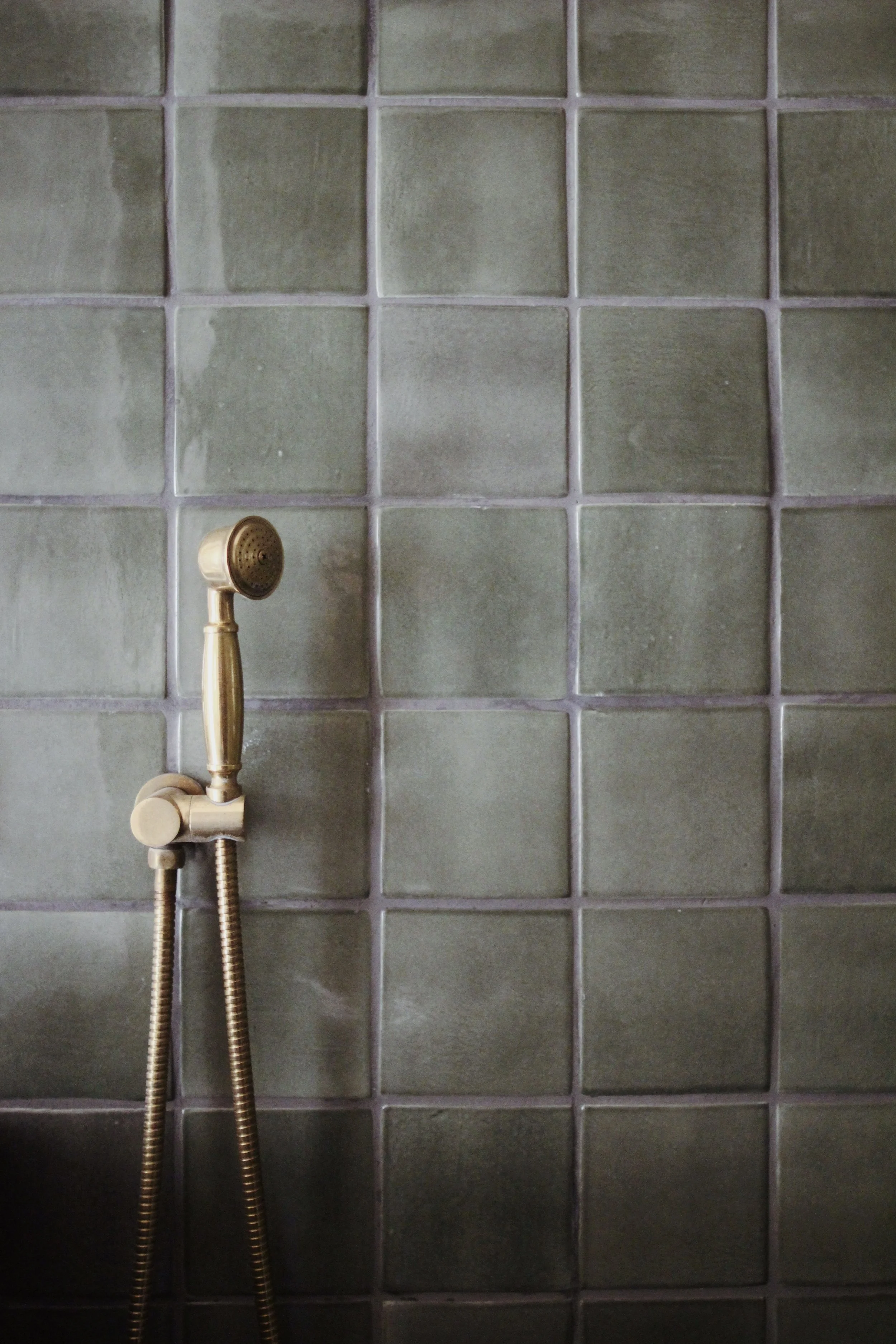 SteepHillStudio_Cabin_Shower_Handheld.jpg