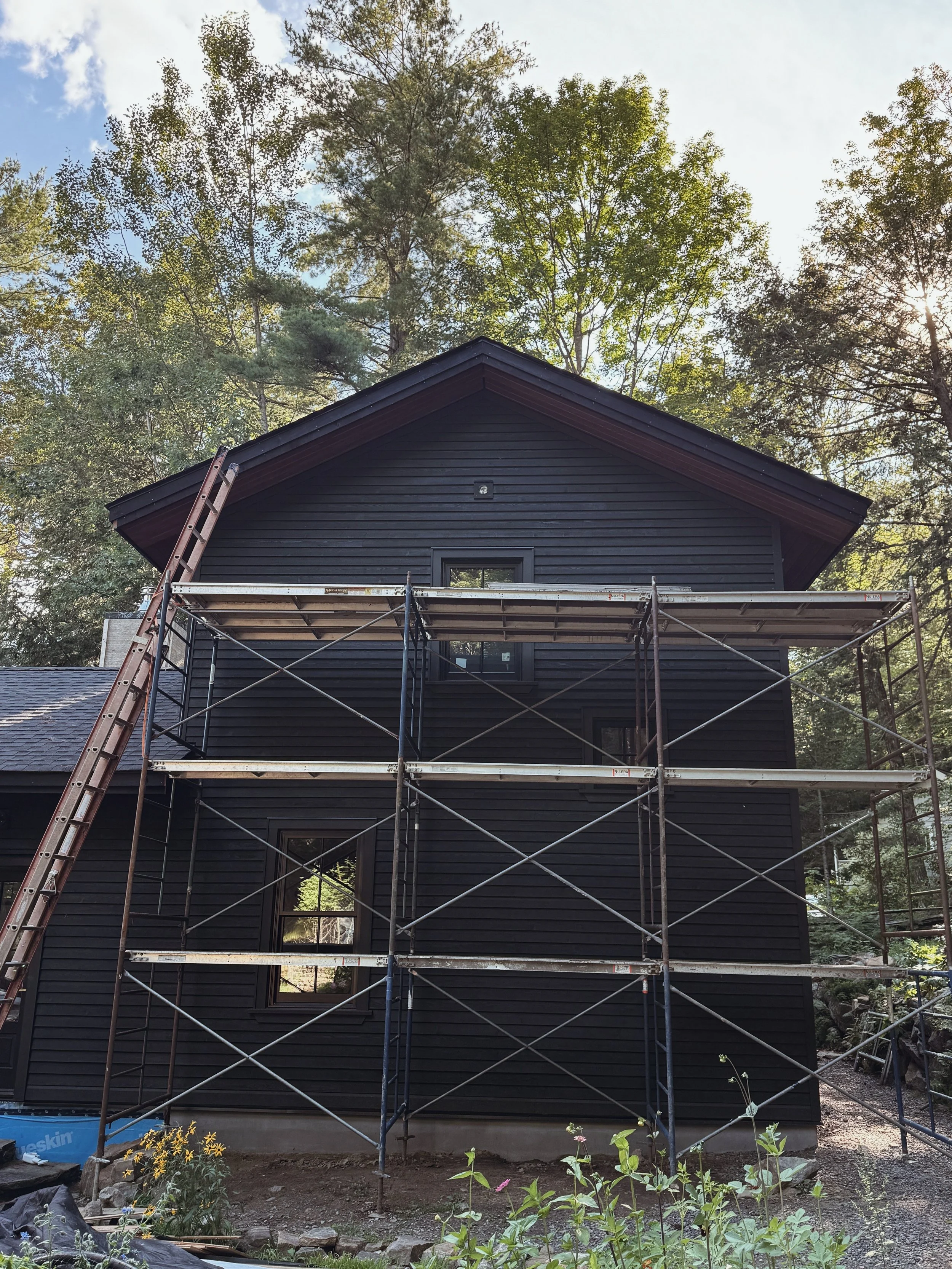 Steep_Hill_Studio_2026_Fir_Stock_5.jpeg