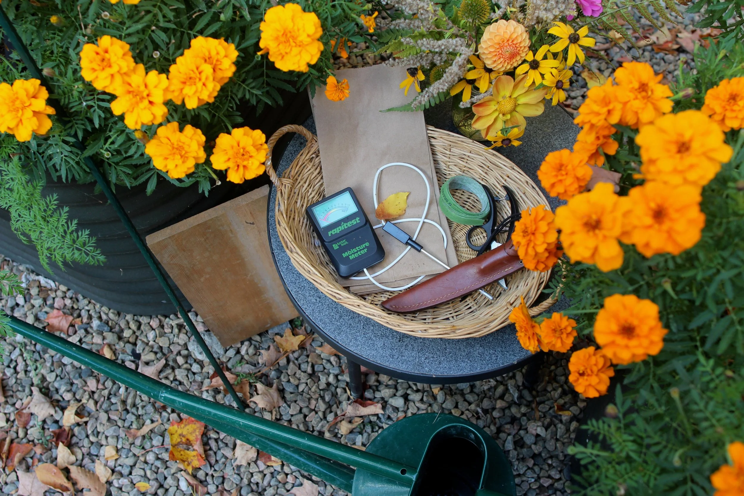 GARDEN TOOL GUIDE: 10 TRIED-AND-TESTED ESSENTIALS