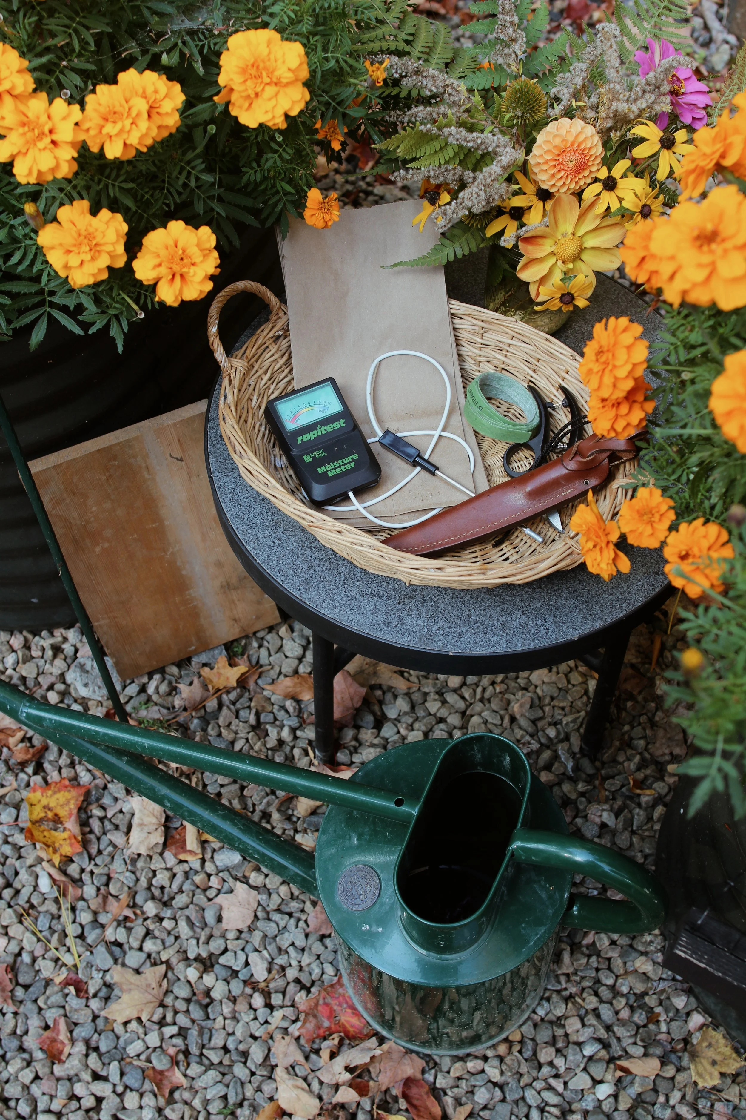 Best_Garden_Tools_2026 1 of 29-VSCO.jpeg