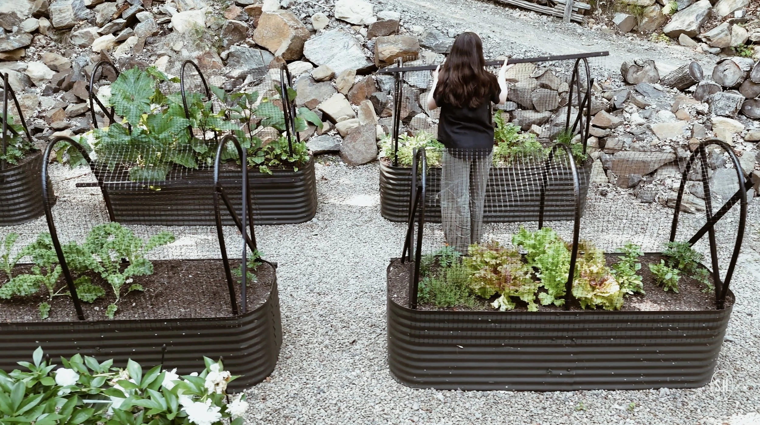  GARDEN PROTECTION THAT LOOKS AS GOOD AS IT WORKS