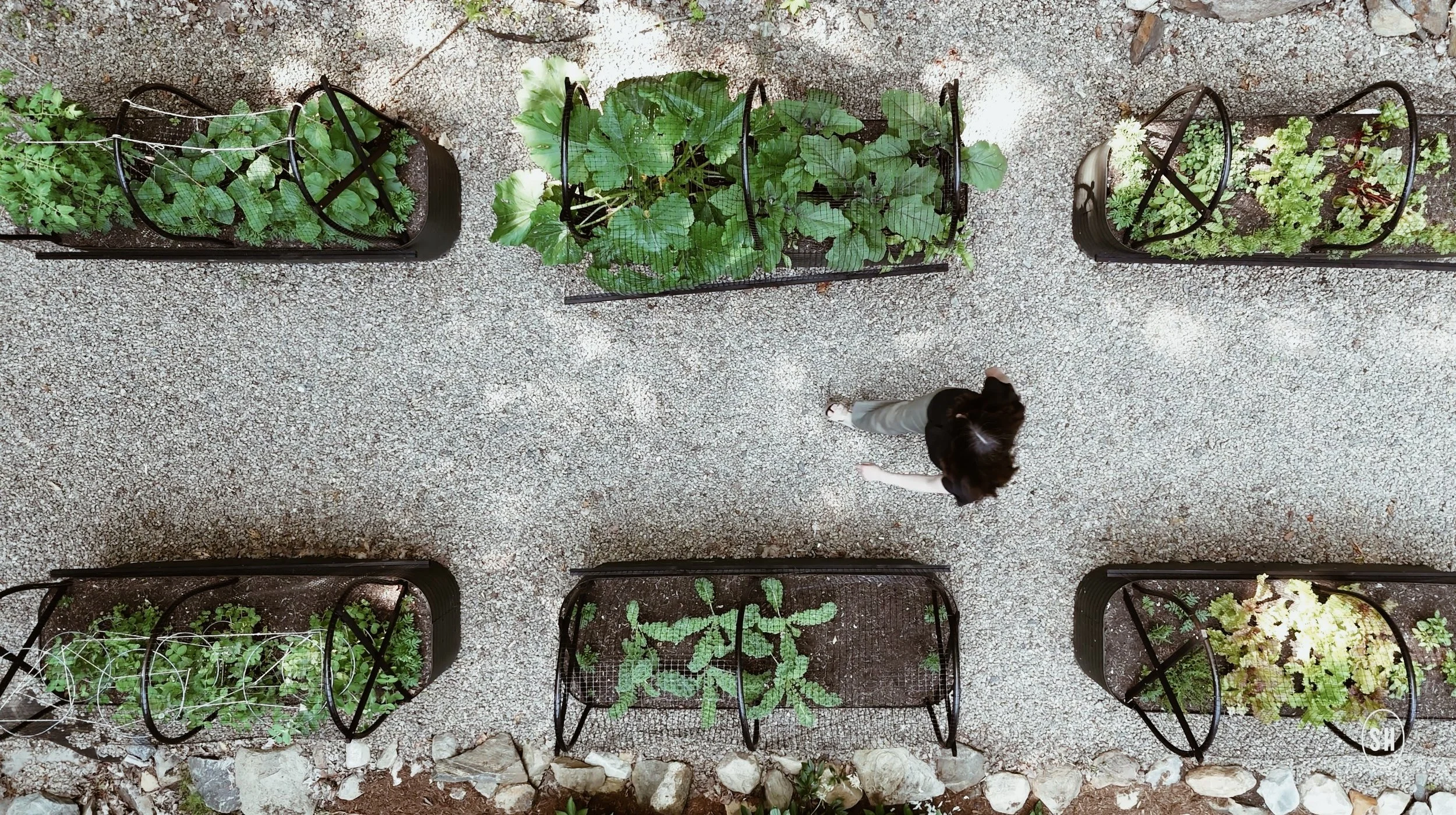SHS_KitchenGardenCovers122024PM-VSCO.jpeg