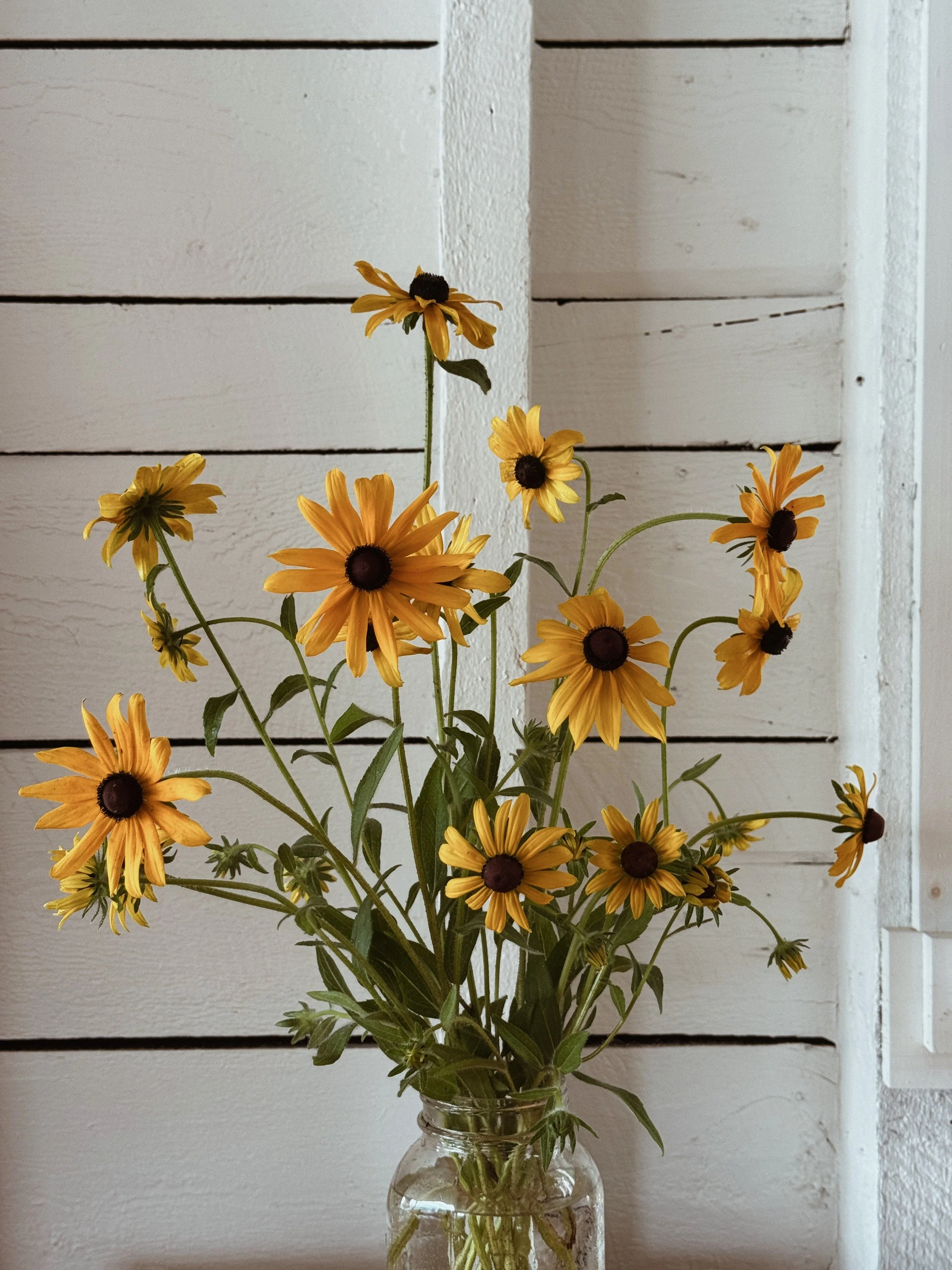 Steep_Hill_Studio_Rudbekia_Vase.jpeg
