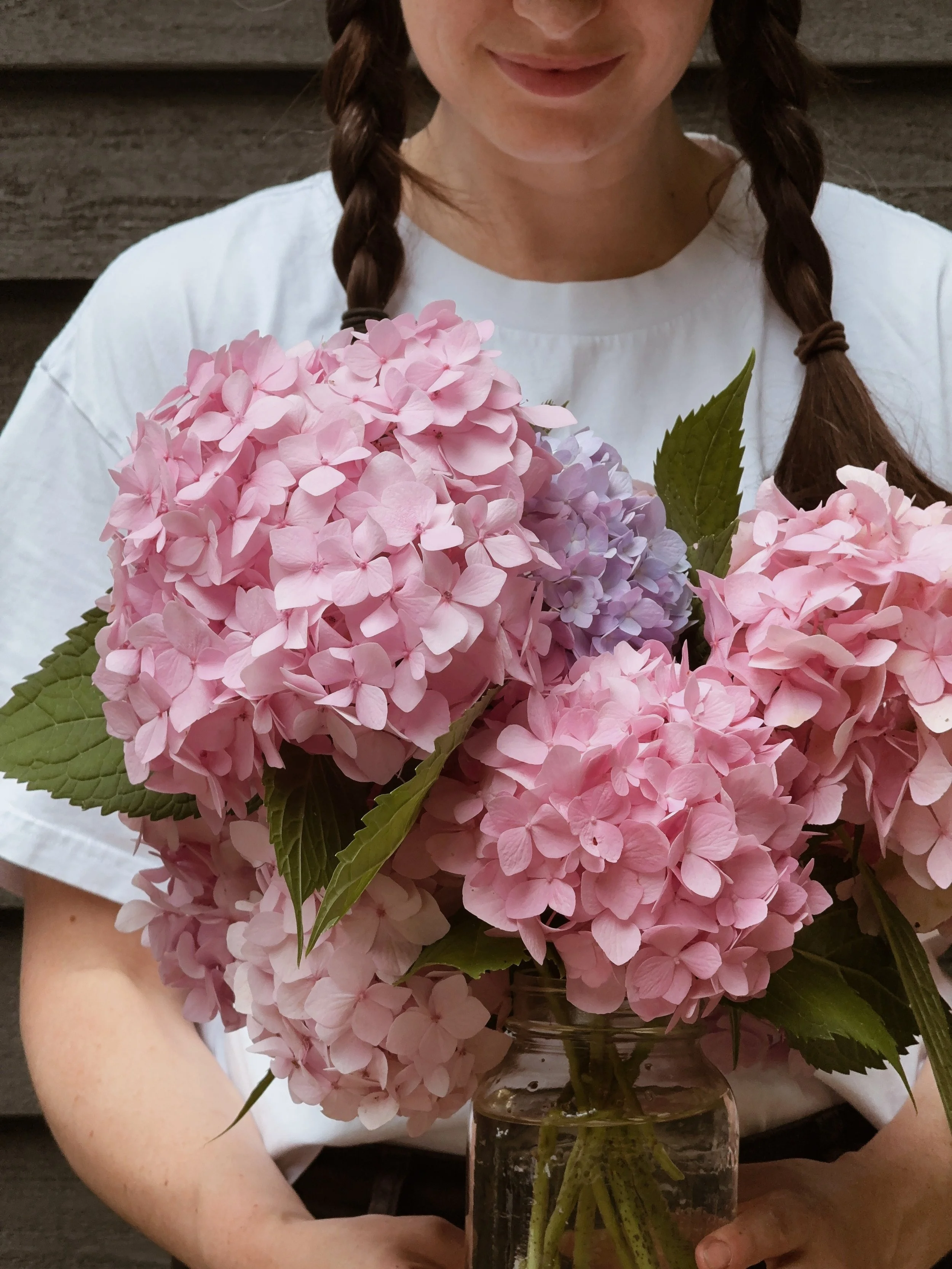 Steep_Hill_Studio_Hydrangeas.jpeg