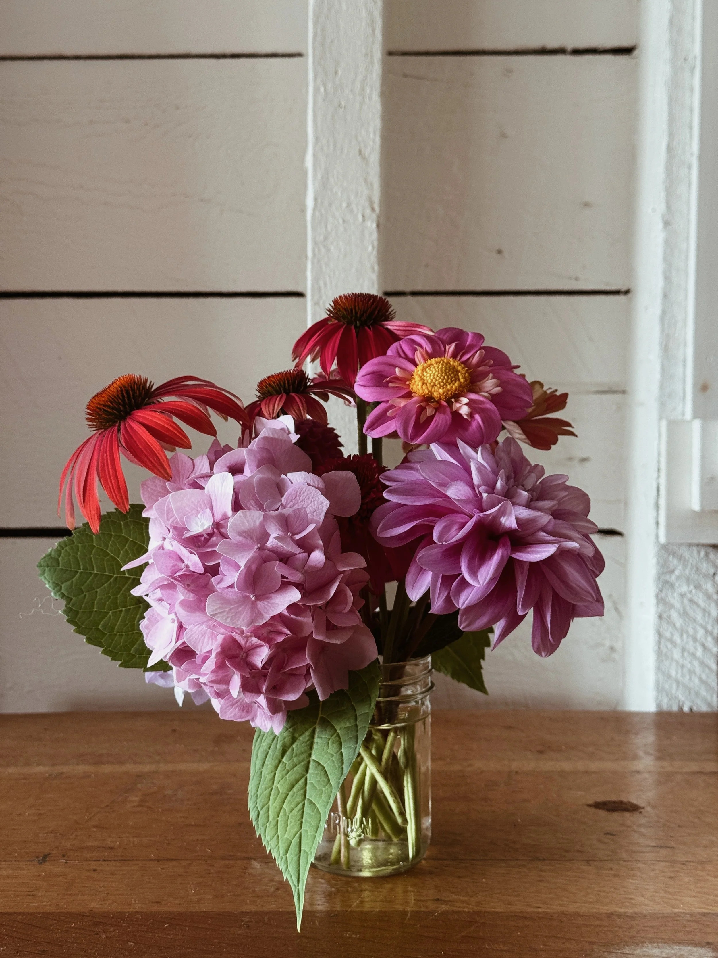 teep_Hill_Studio_2026_Cone_Hydrangea_Dahlia_Vase.jpeg